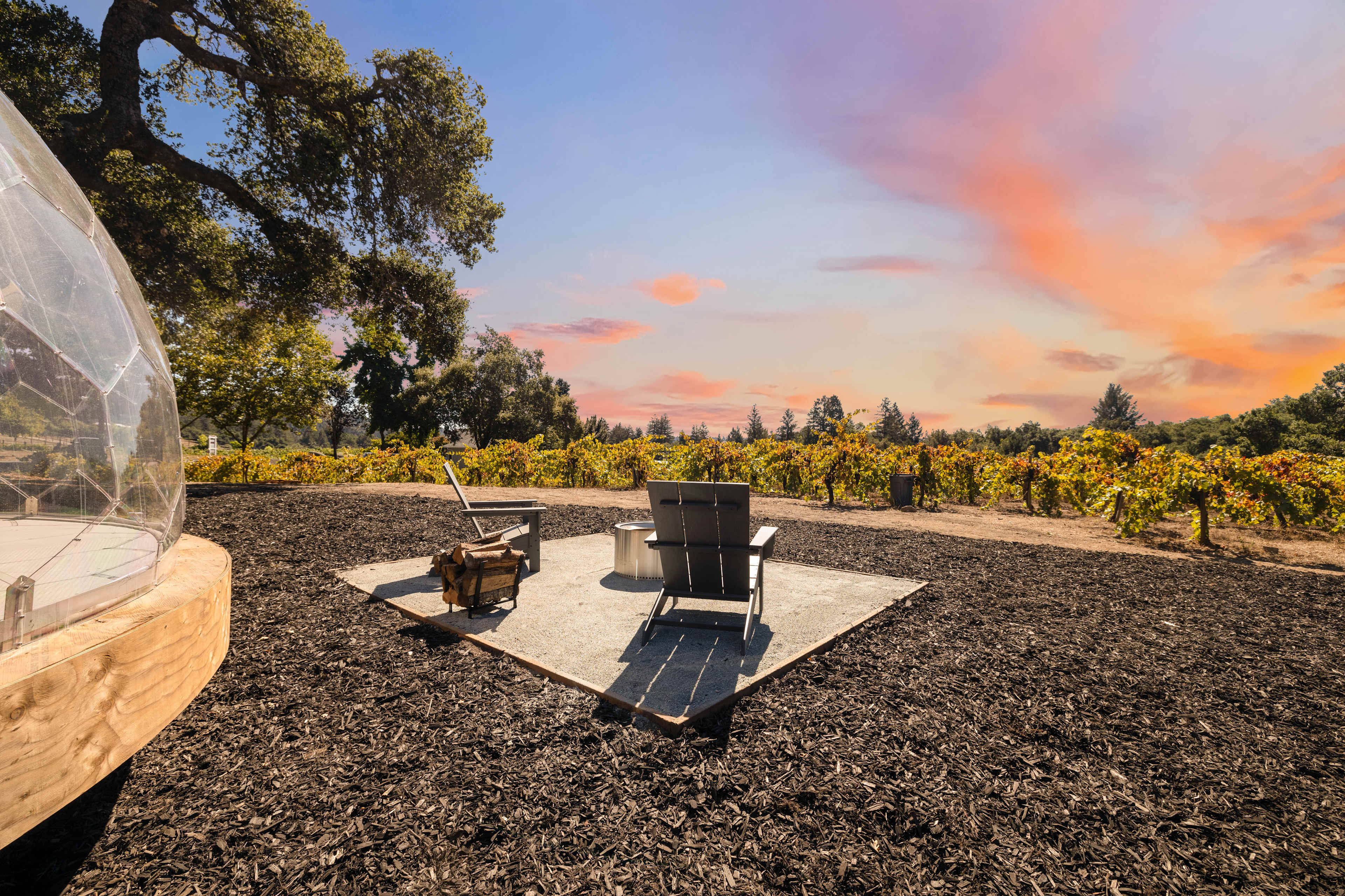 Hilltop Vineyard Dome Glamping
