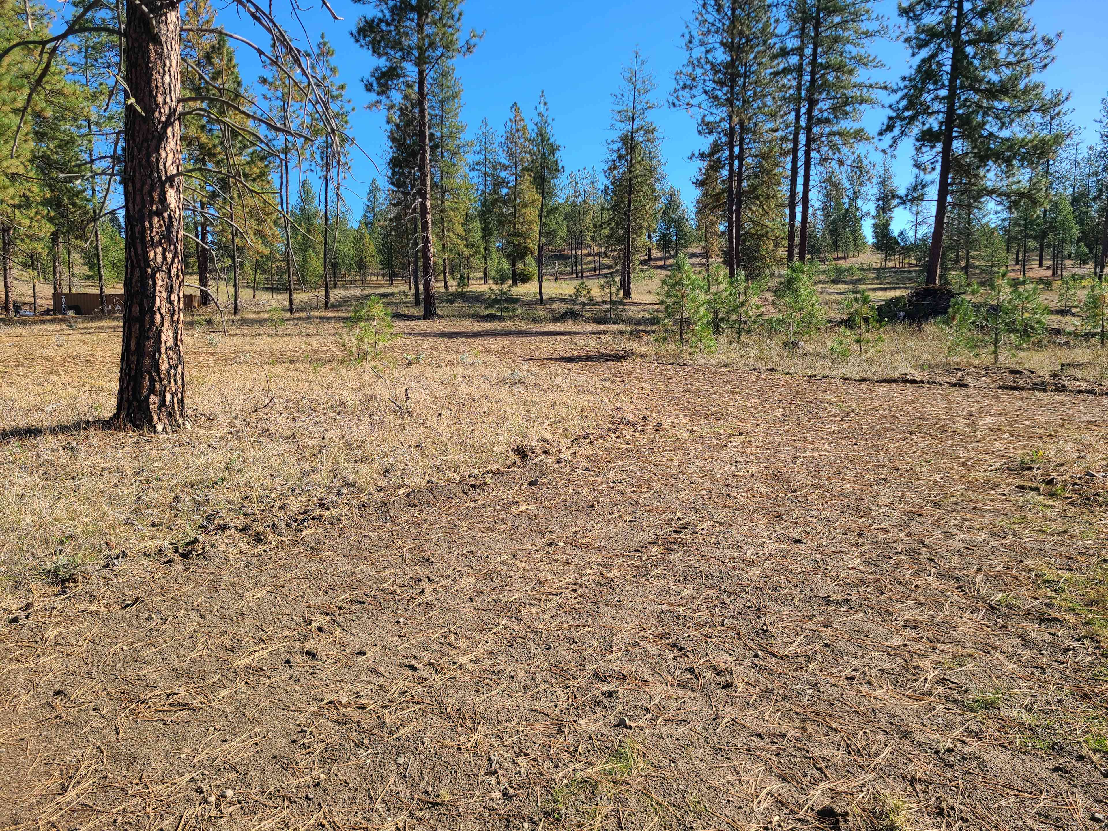 Misty meadows campground