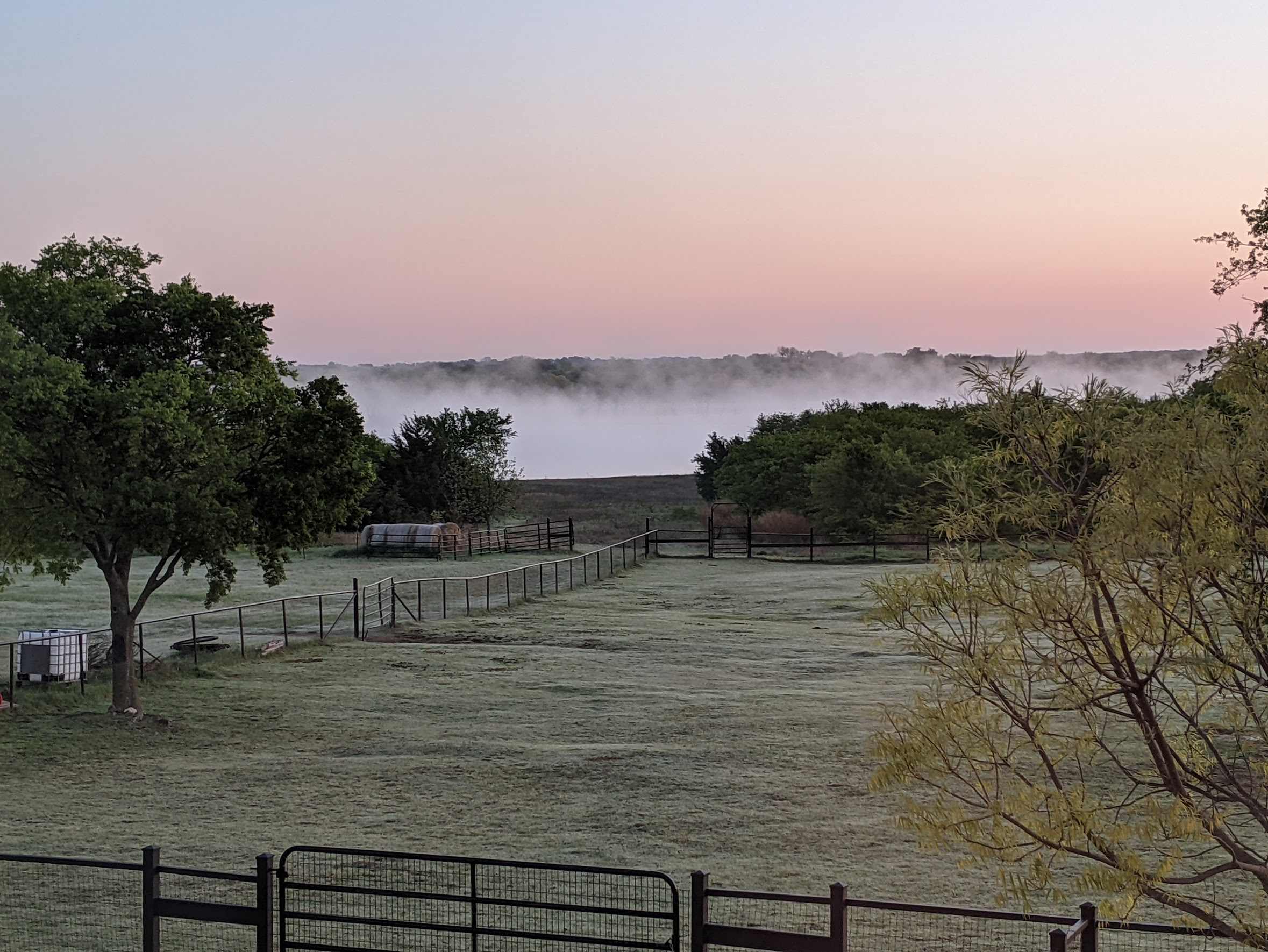 Pretty morning fog on the lake