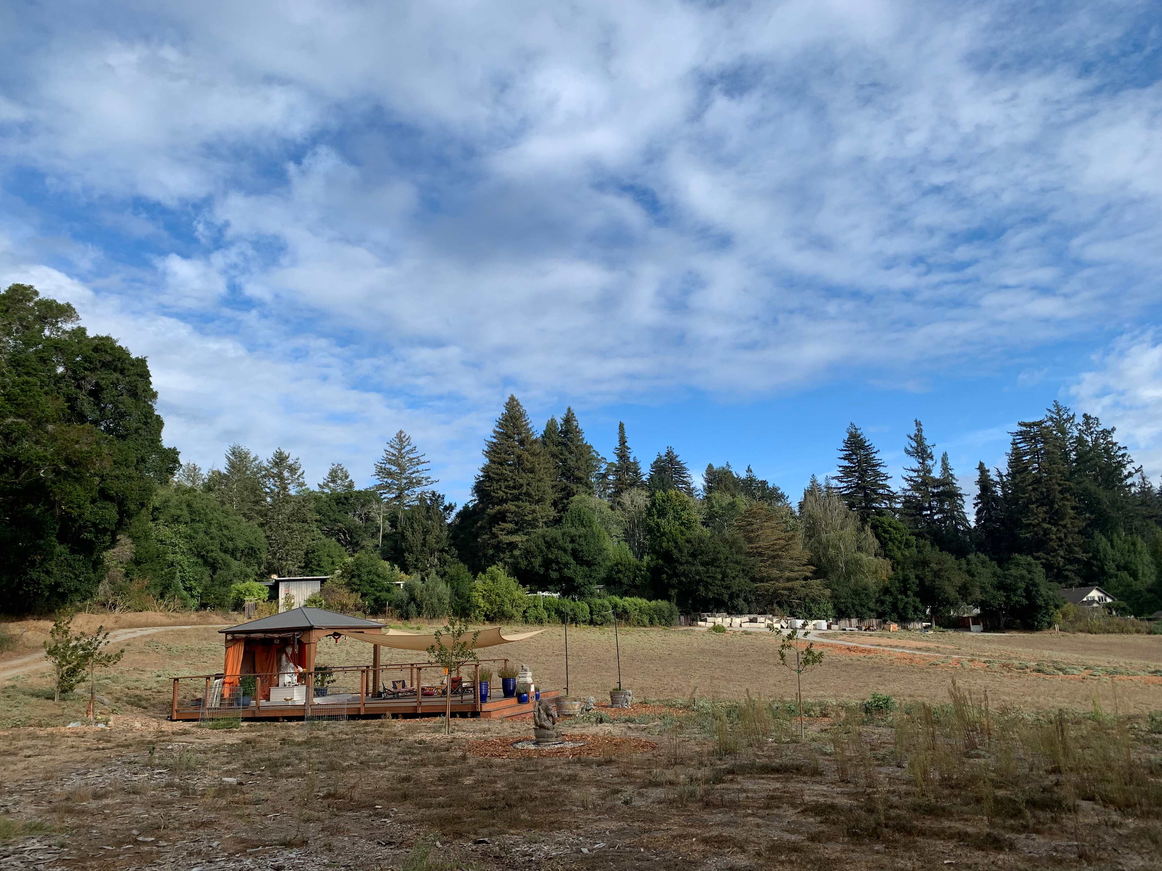 Picture of the site