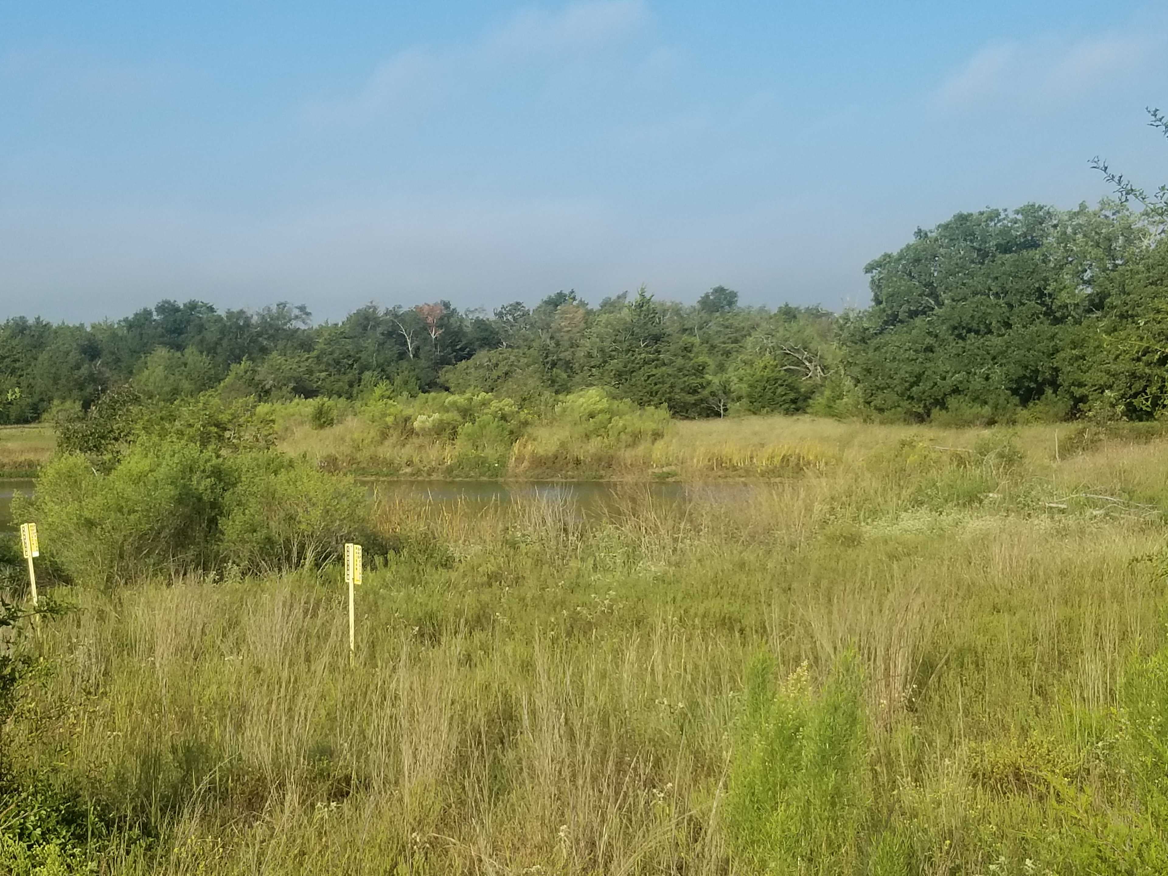Fishing pond