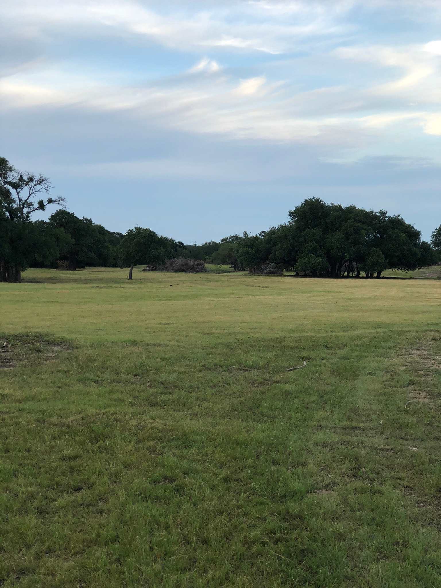 Family Land at Traditions