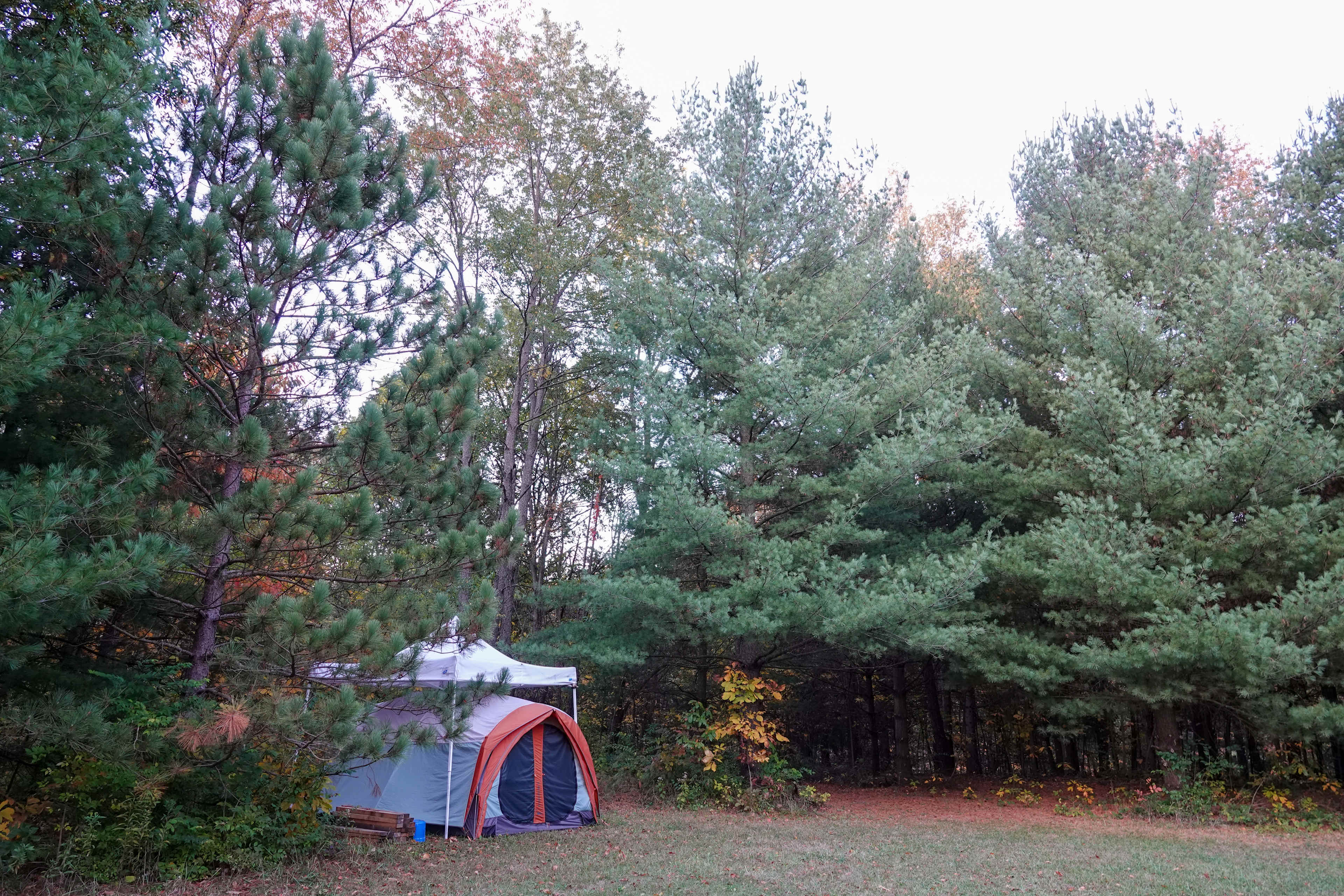 A tent spot in the free camping area