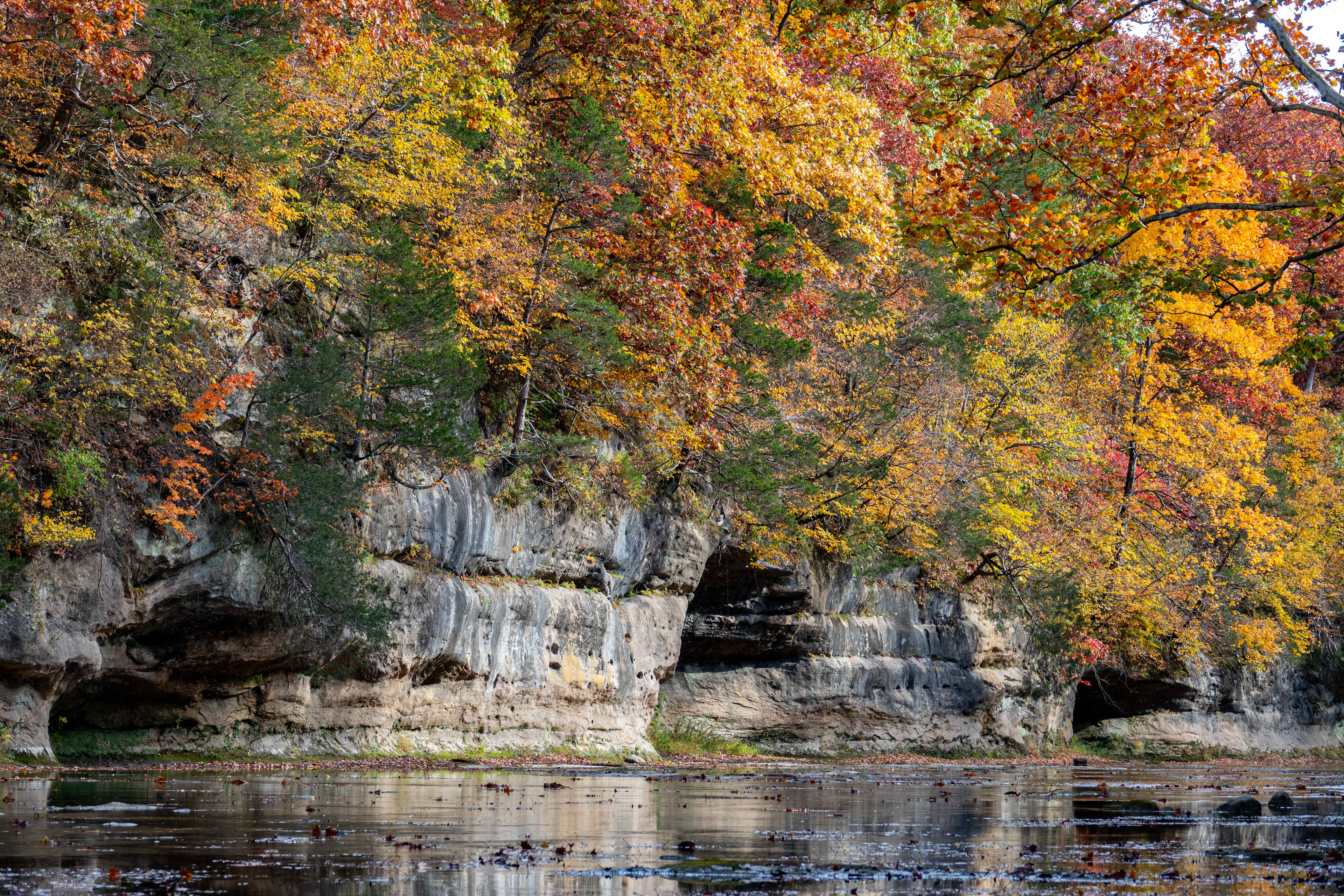 Sandstone bluffs along the creek