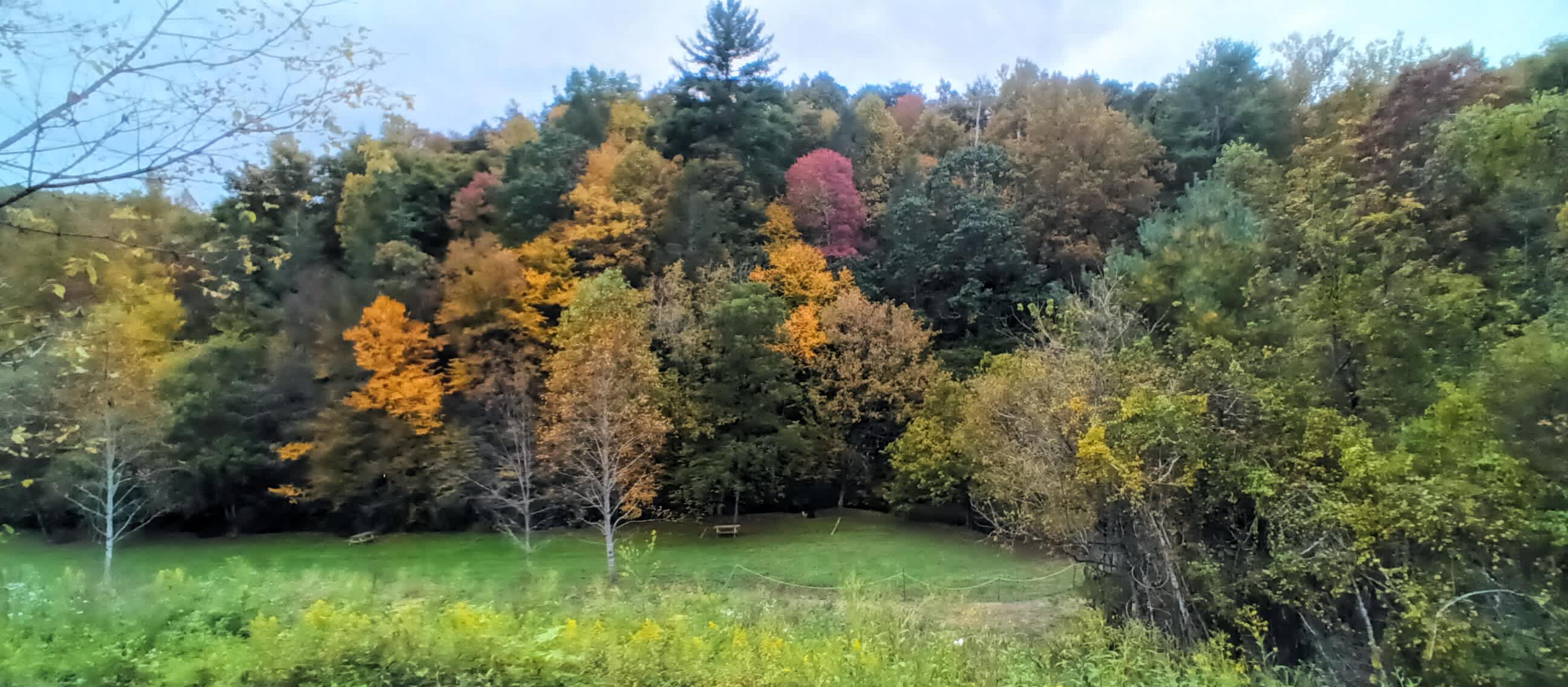 Picture of the site