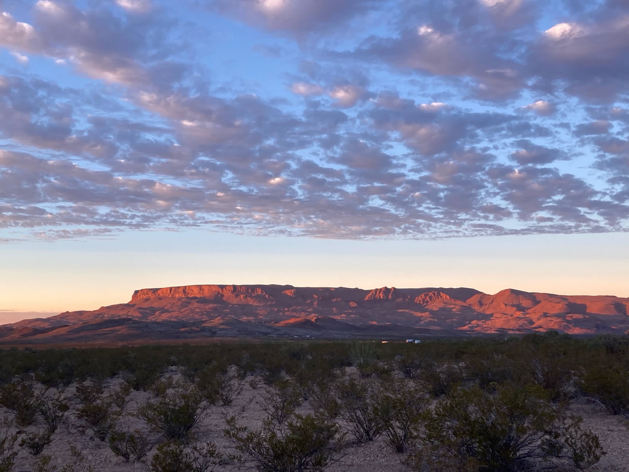 Ocotillo Flats Camping