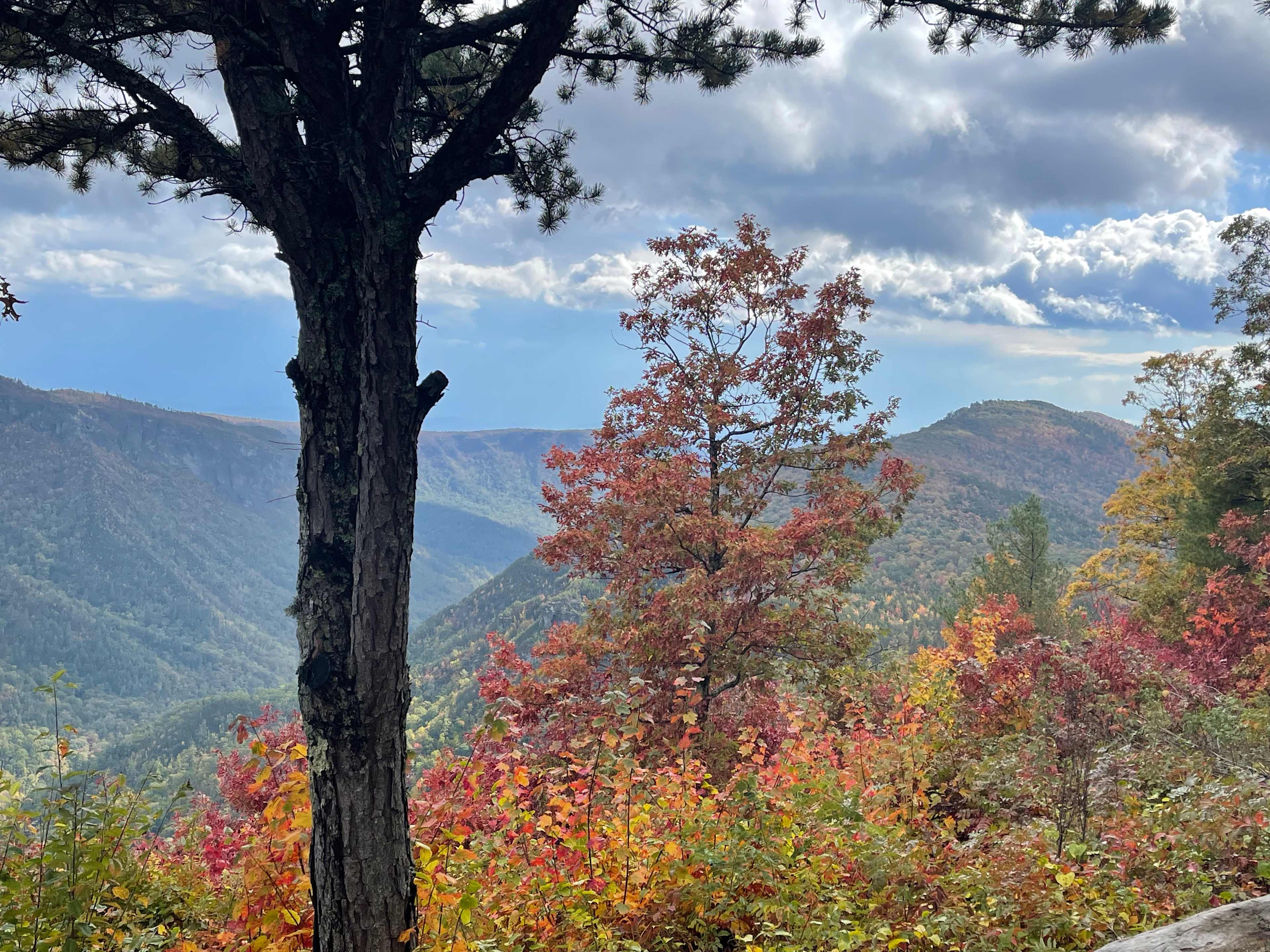 View from Wiseman View! Short drive from the campground. 