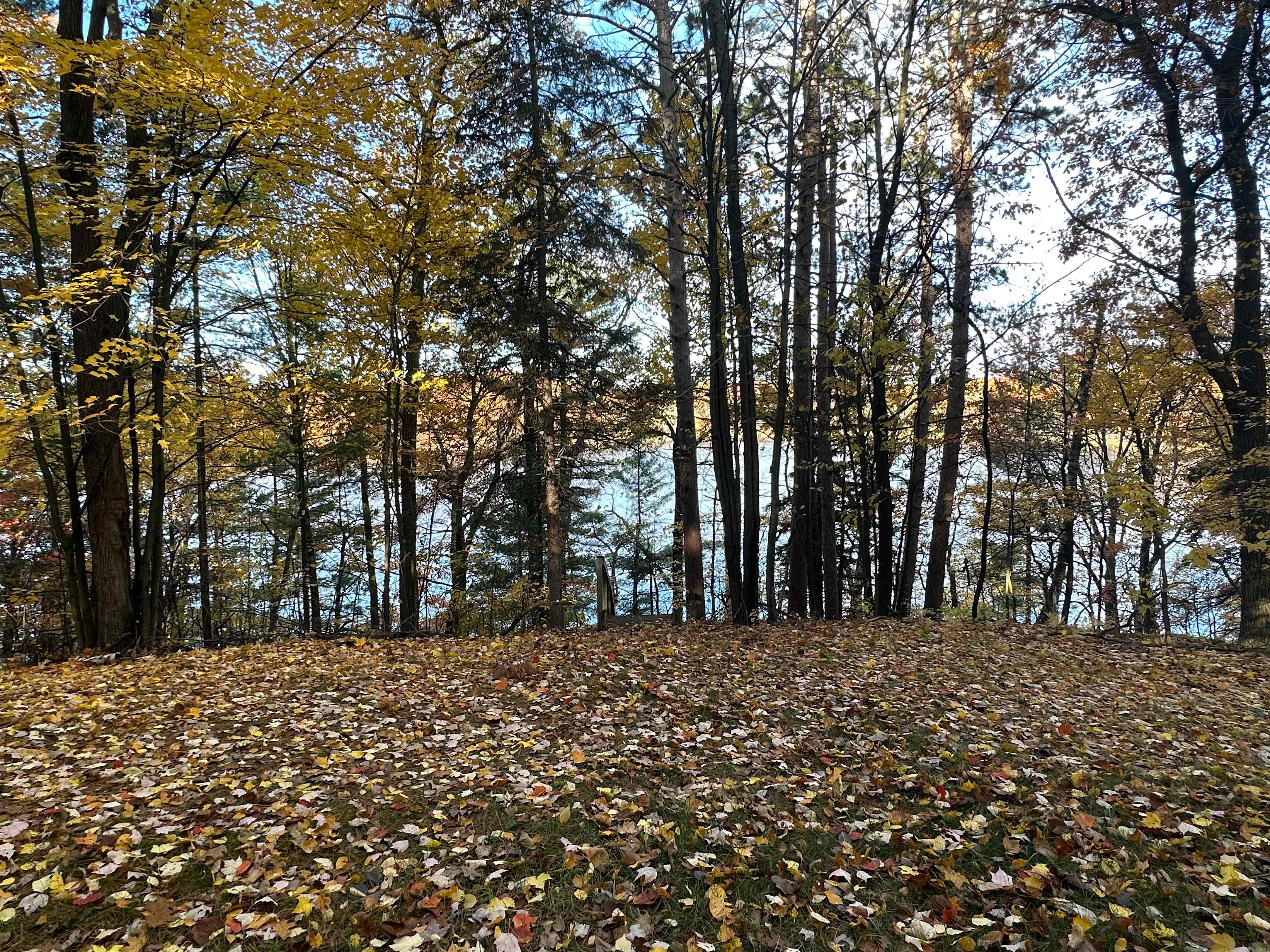 Area behind the garage and in front of the steps down to the lake.

This is available for tent camping. RVs and cars must stay in driveway of property.