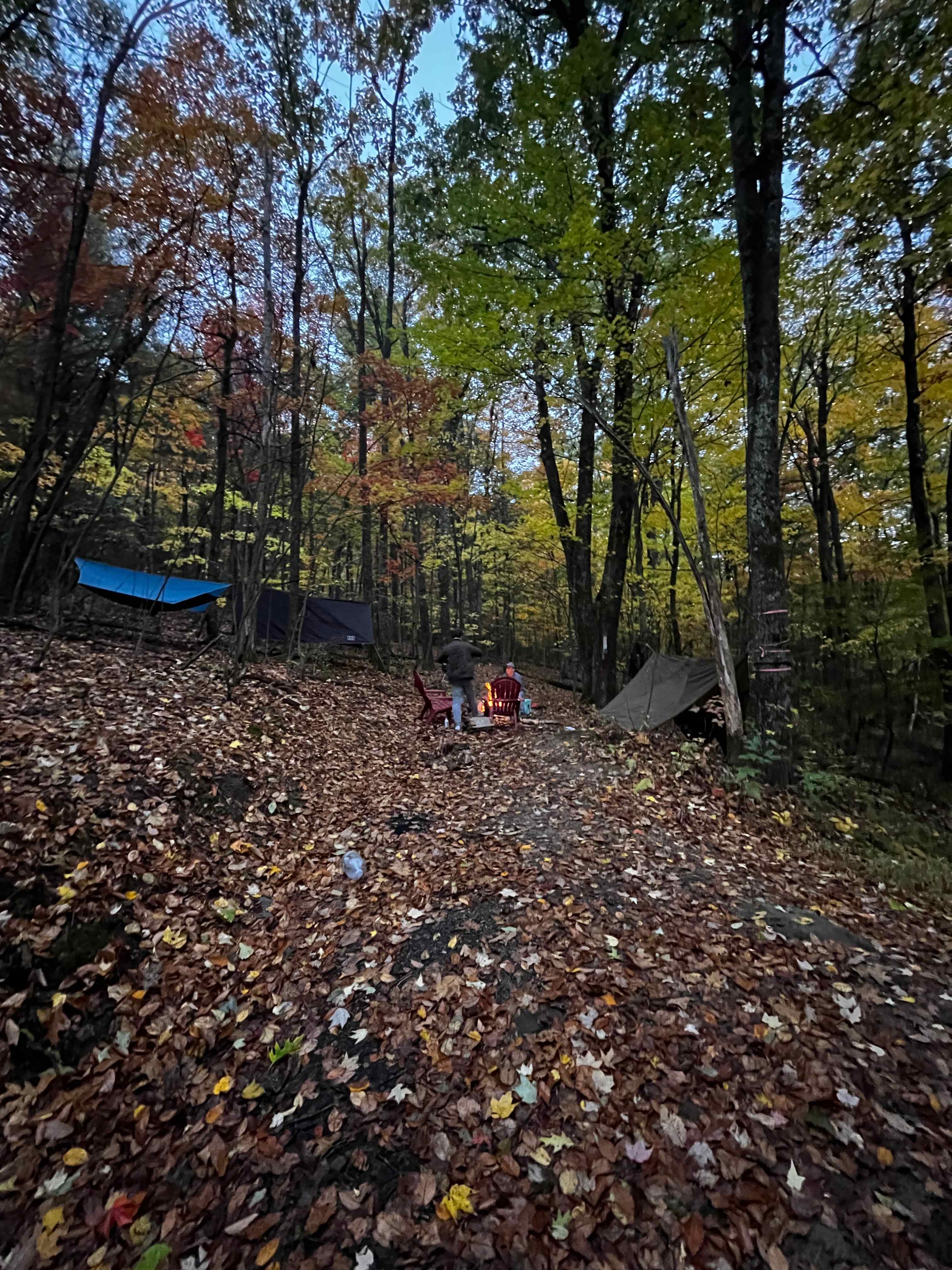 Shenandoah NP Ridge