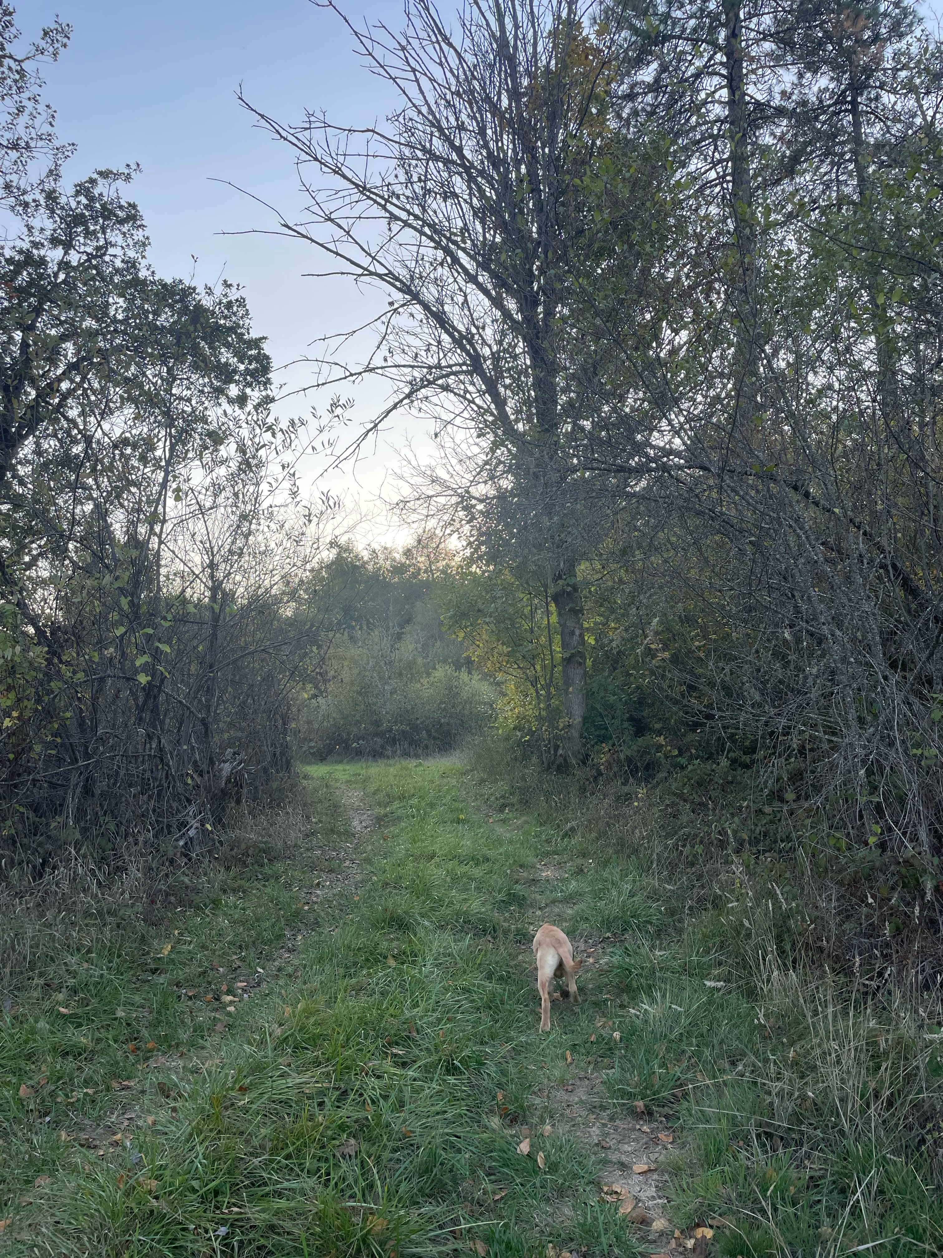 Sojourn Retreats and Weddings