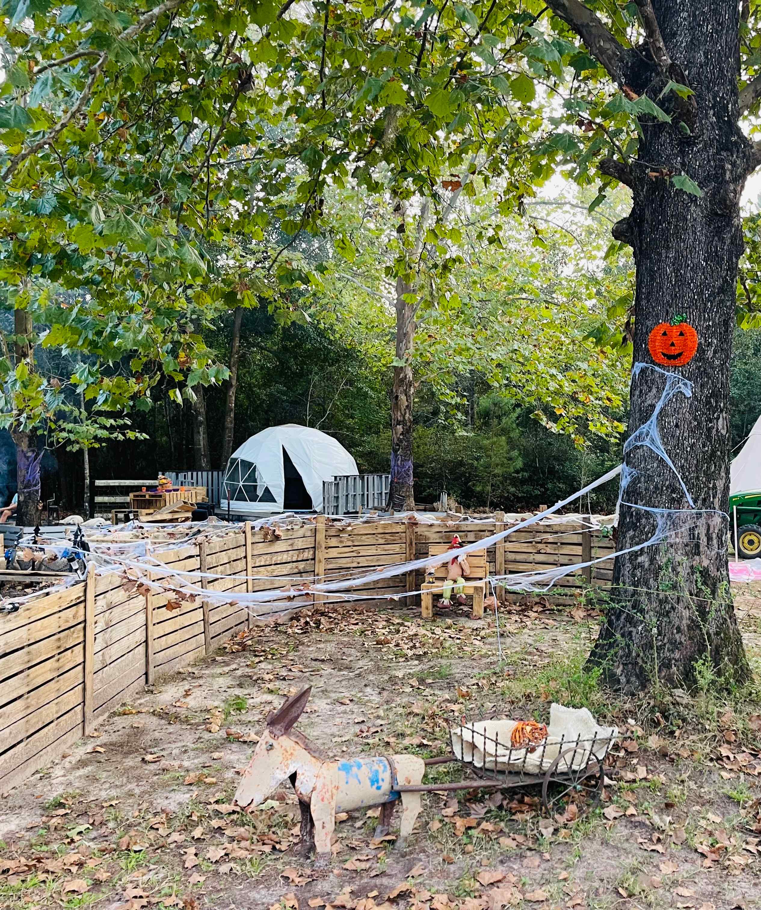 SandyLand Farmstay GlampingTherapy