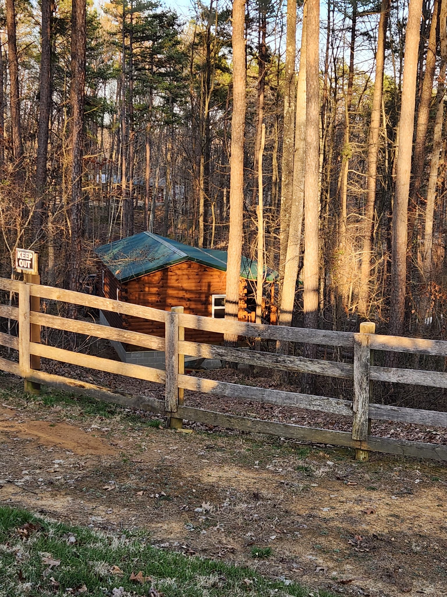 Picture of the site