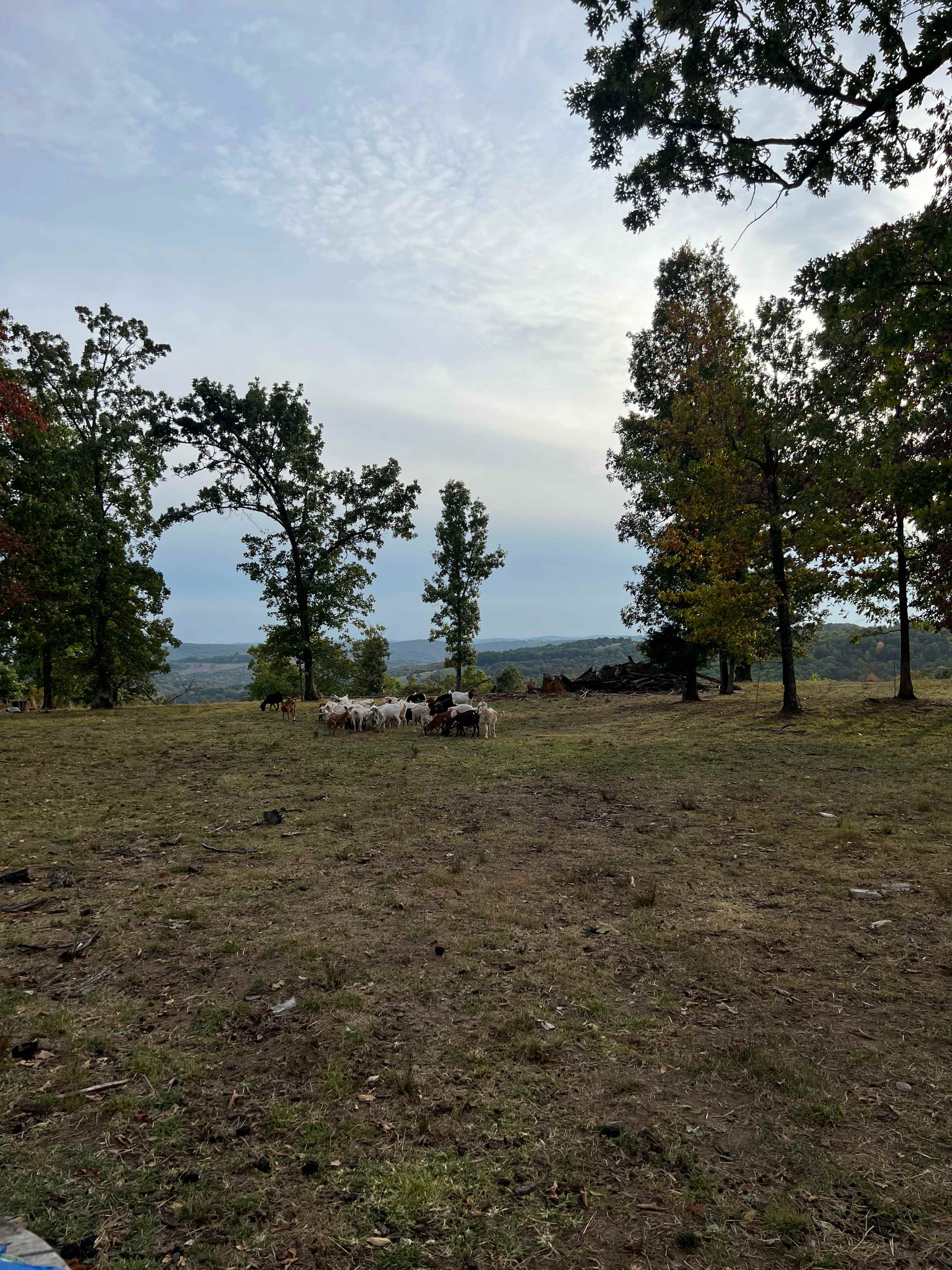 Gobbler Point