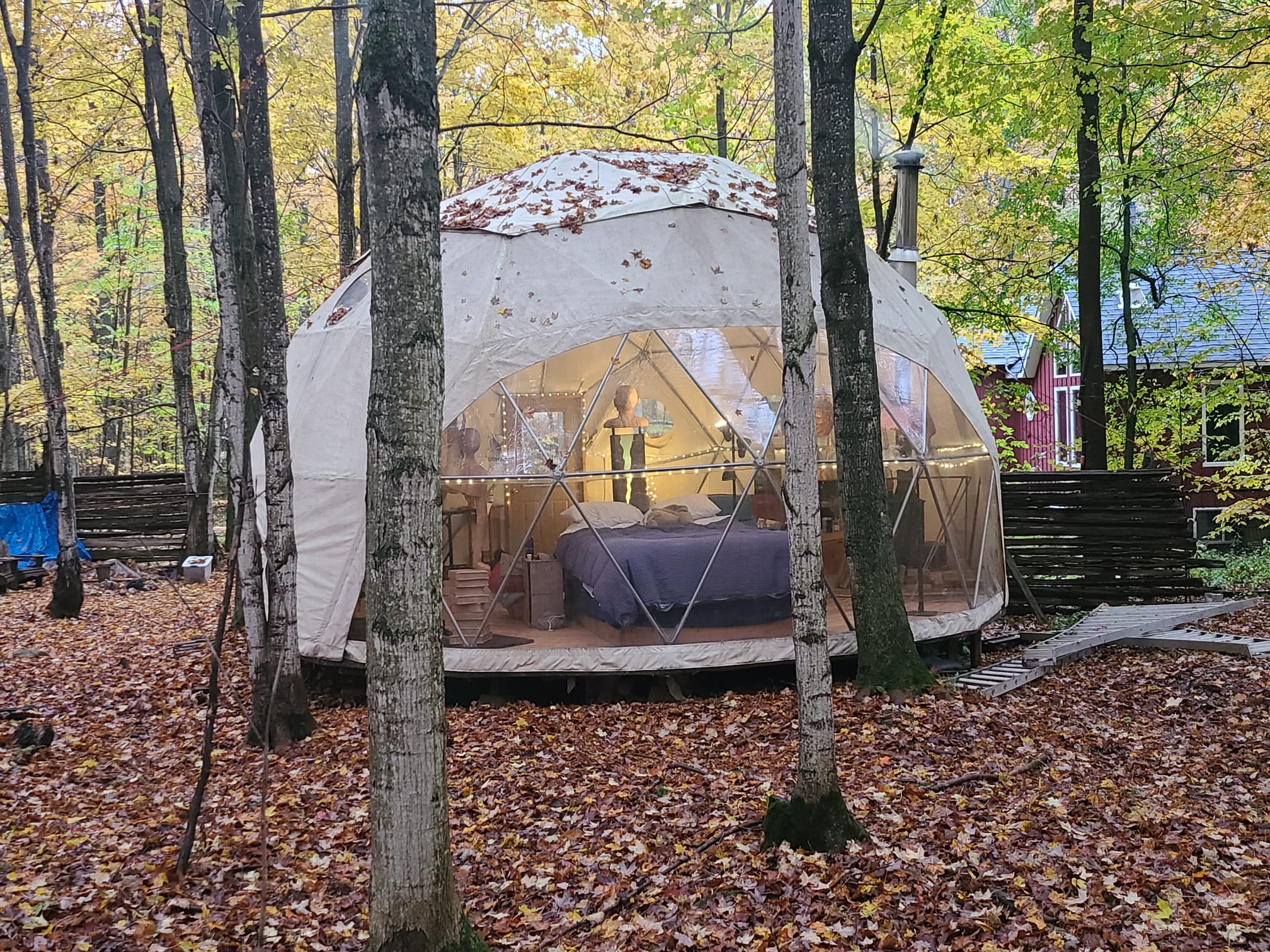 Cozy Forest Dome
