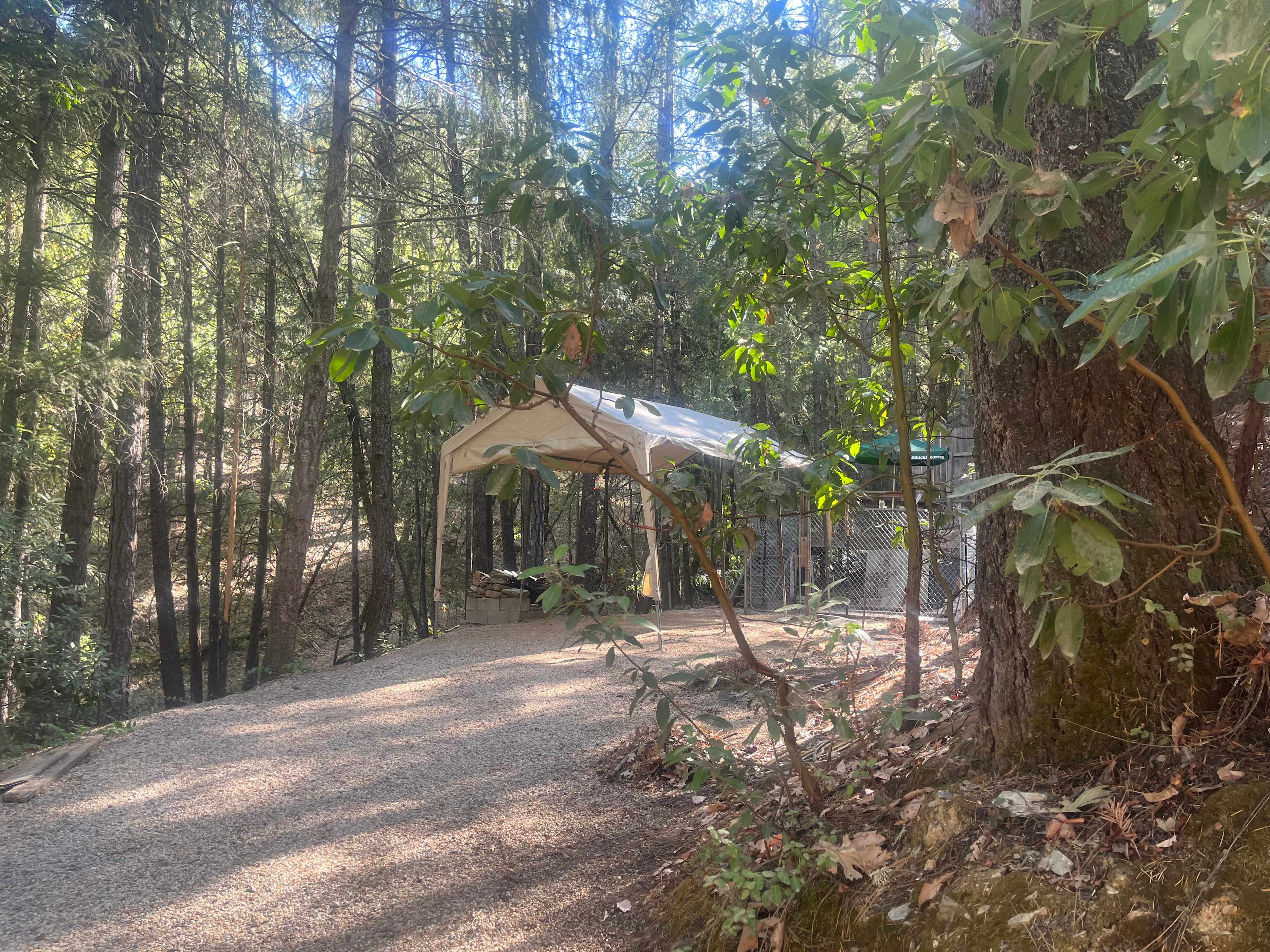 Forest Acres