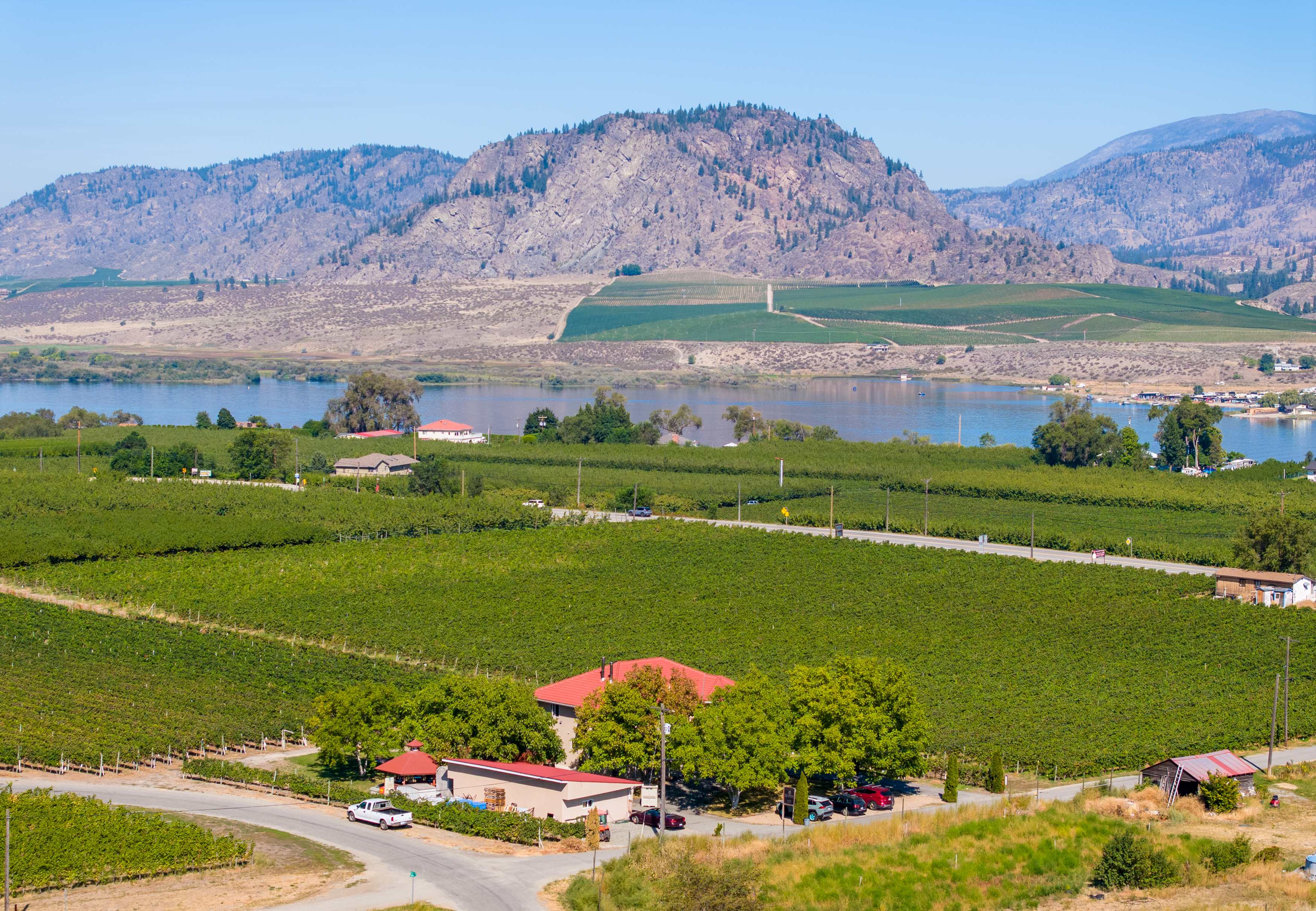 Mythology Vineyard