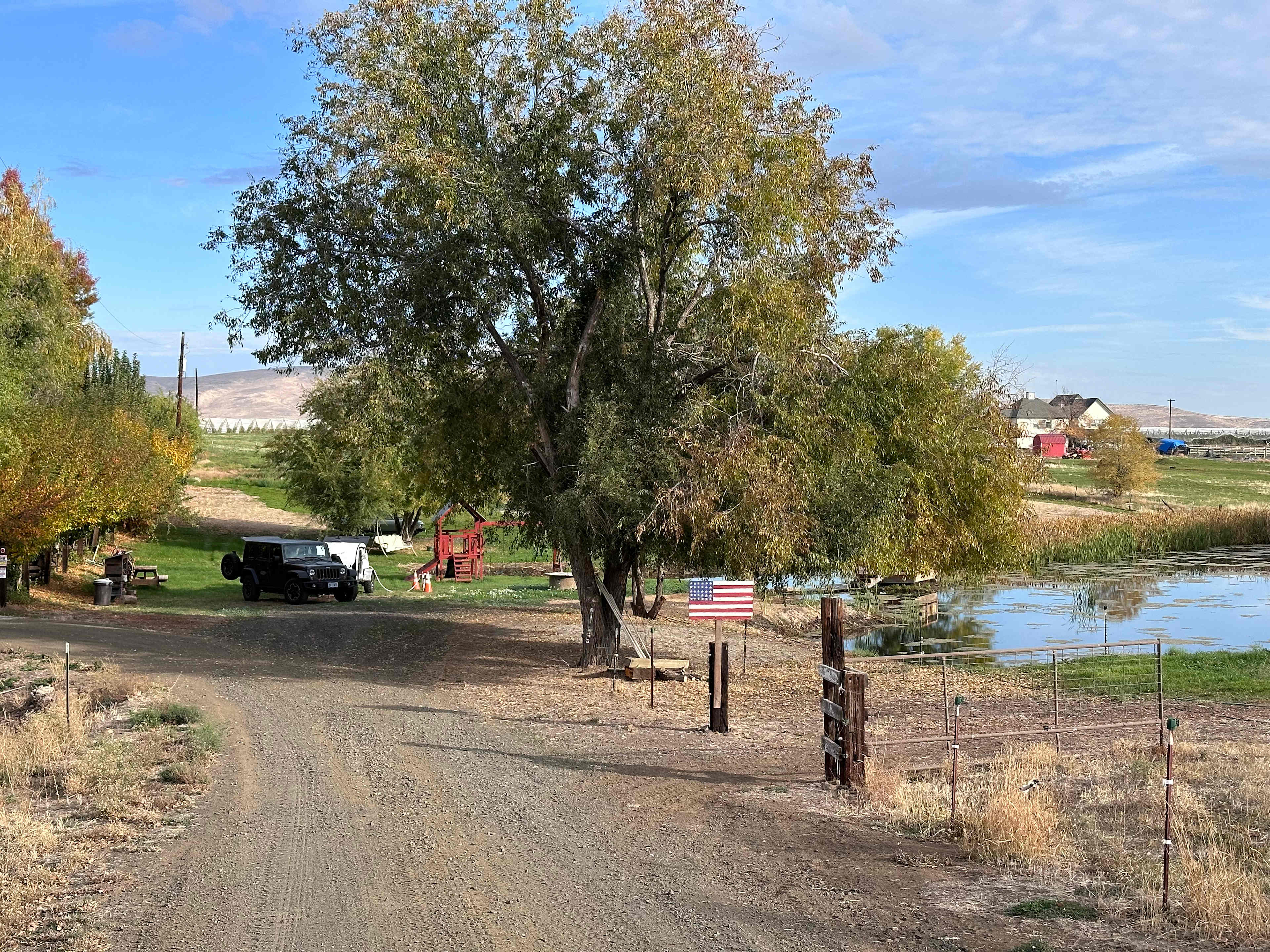 Picture of the site