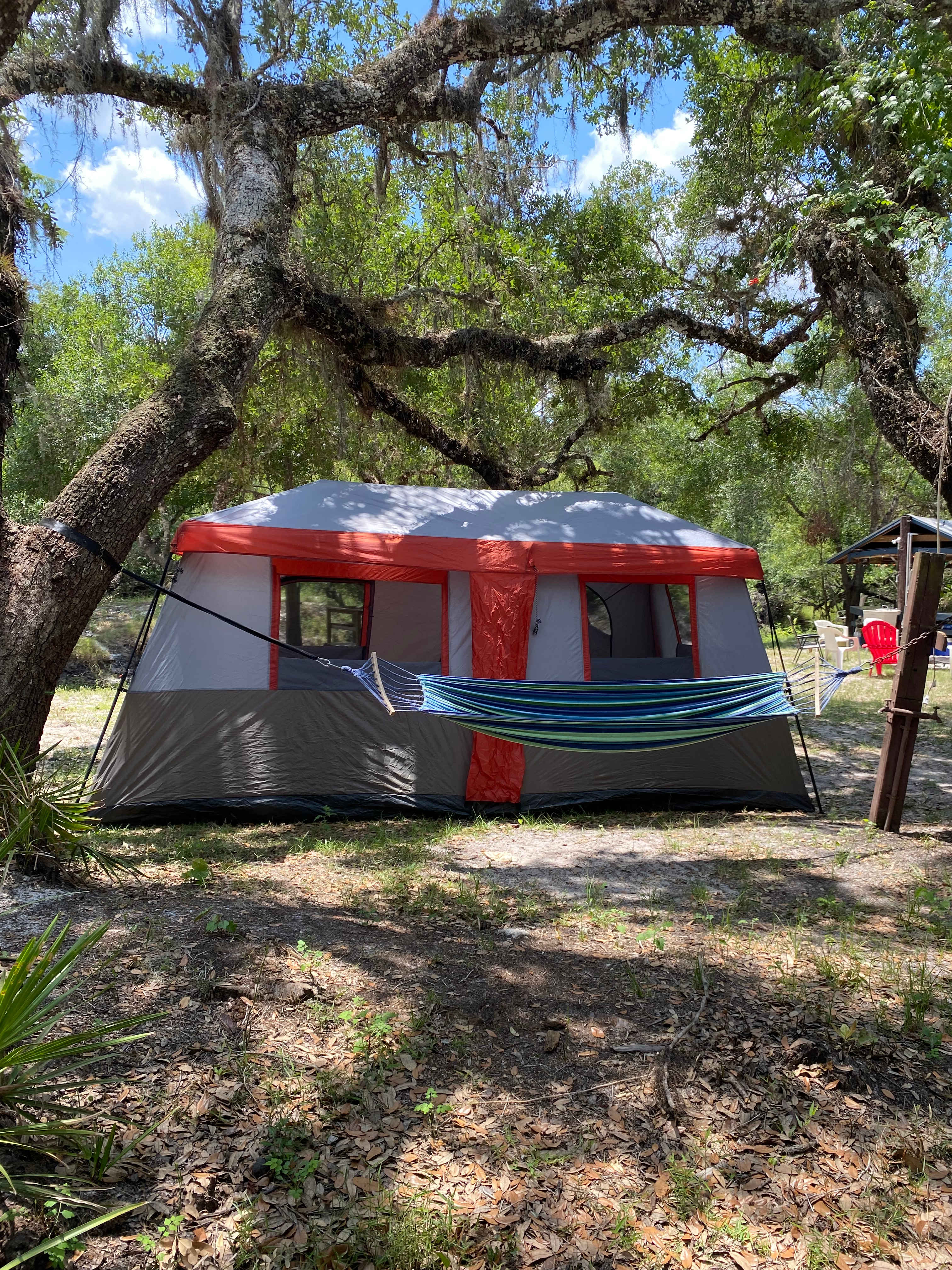 Camp Champ