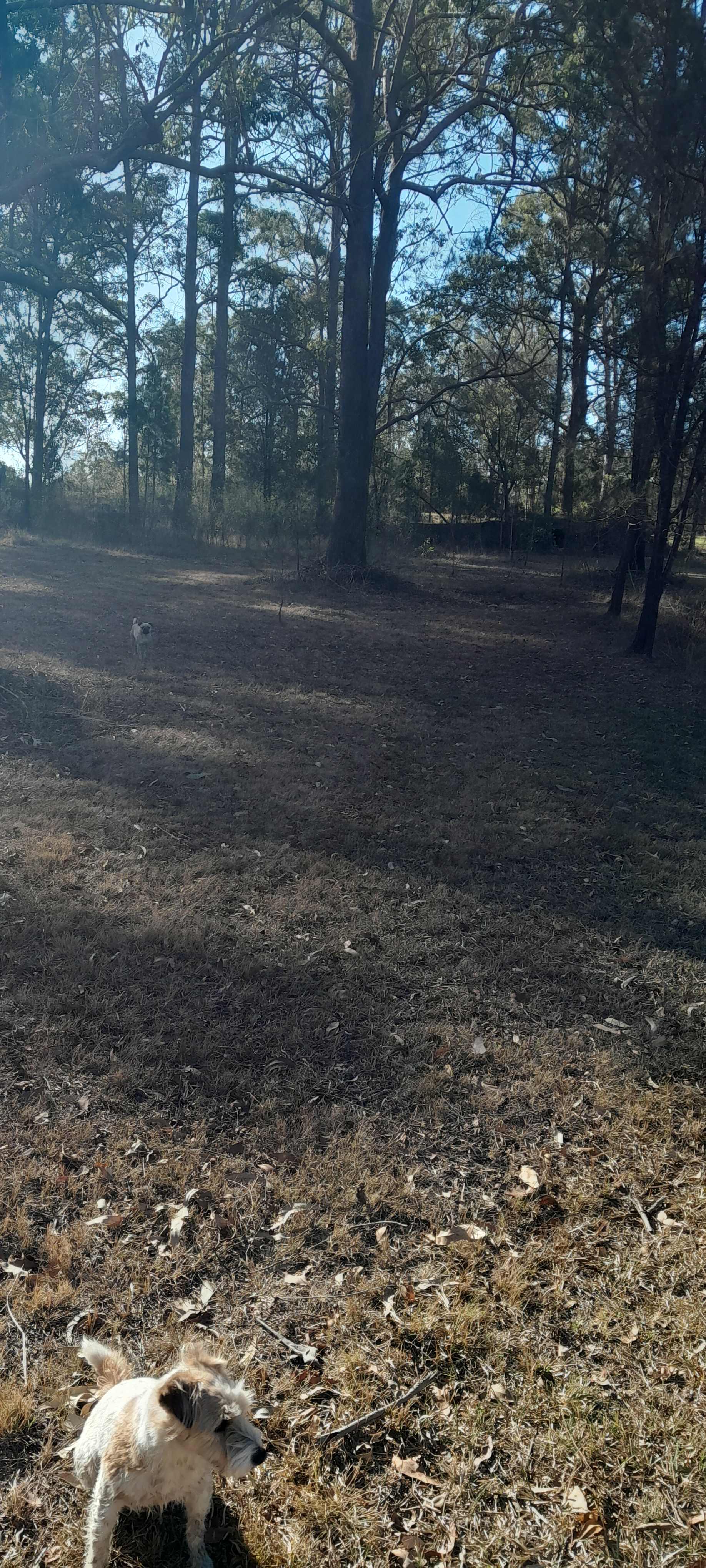 Escape to the Country