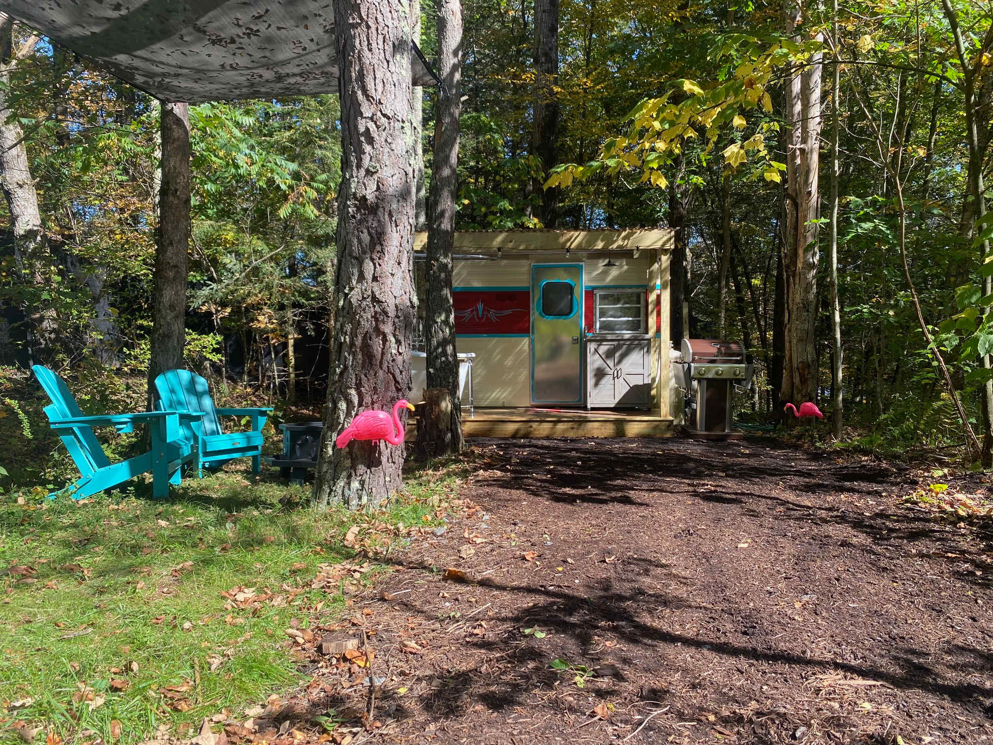 Picture of the site