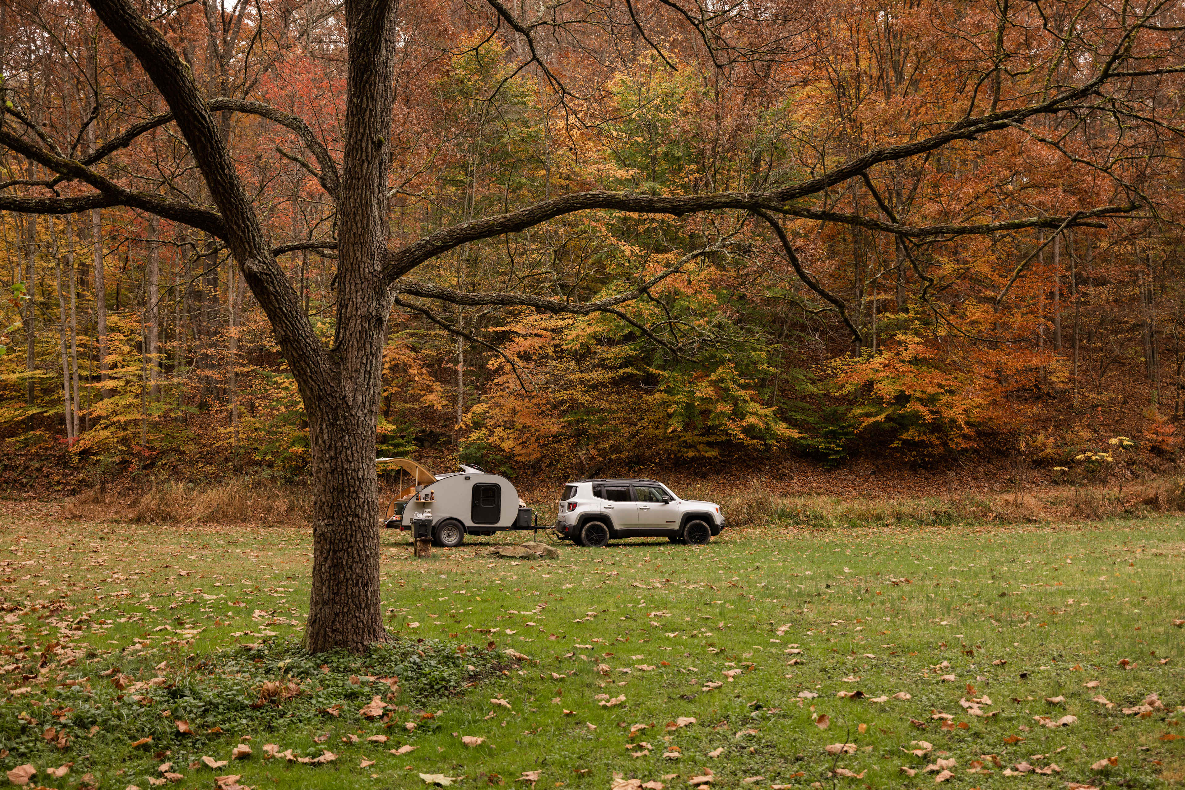 Coon Creek Cove Hideaway