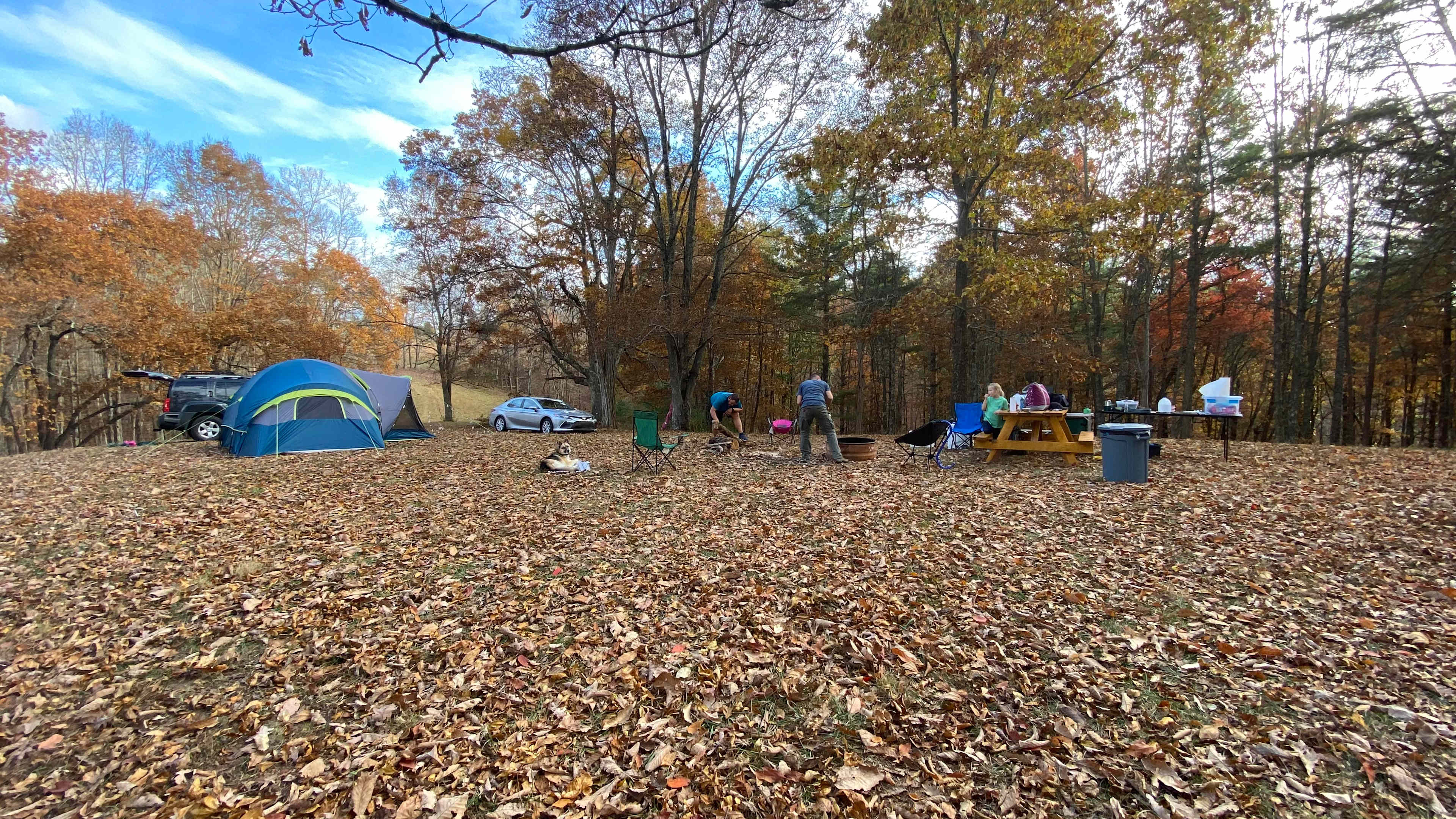 Picture of the site