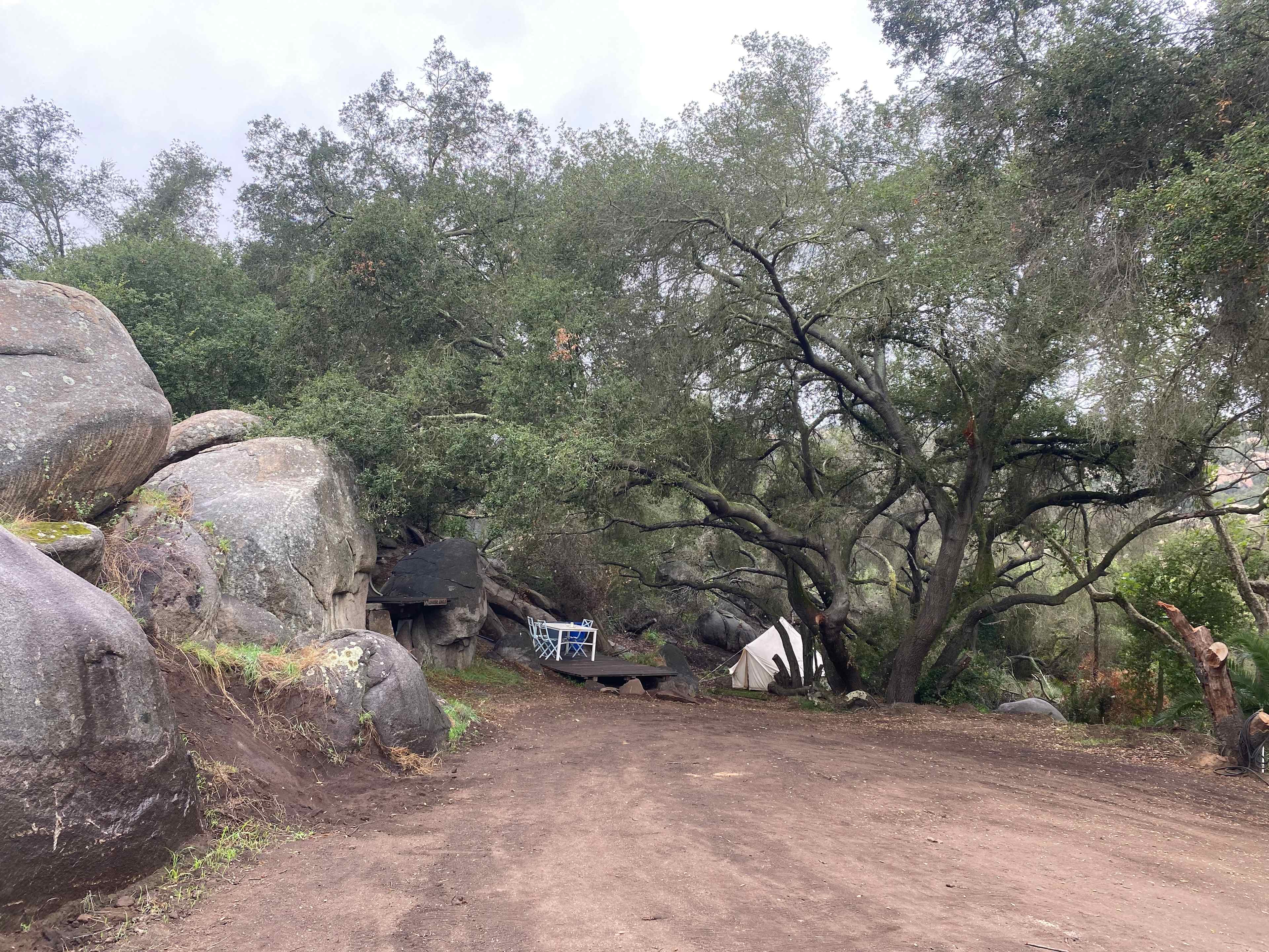 Picture of the site