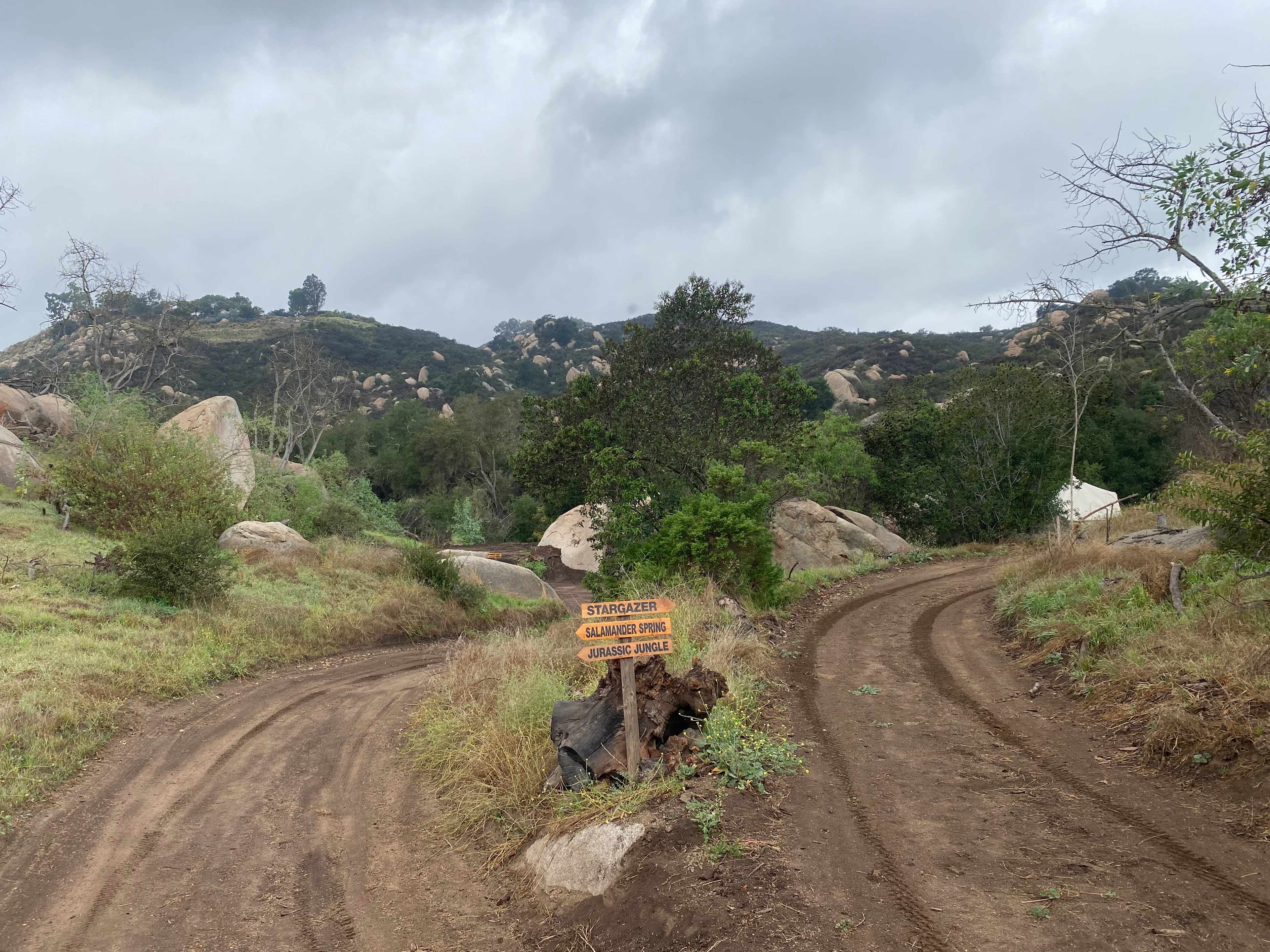 Picture of the site