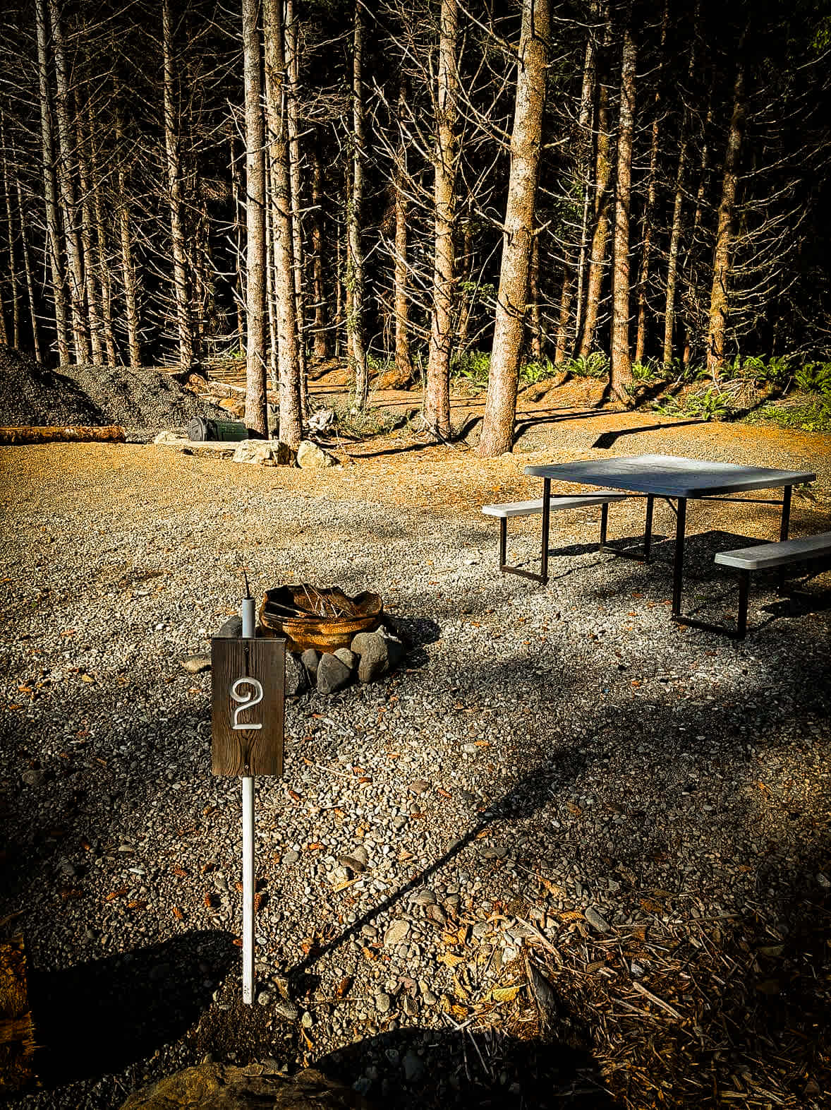 Picture of the site