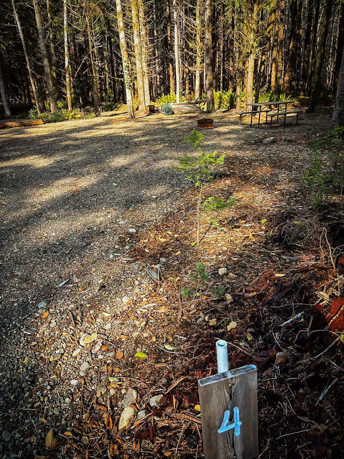 Picture of the site