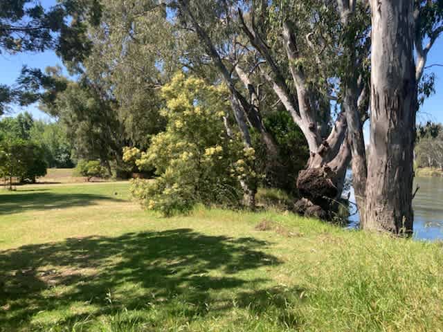 Banks of the Murray, Corowa