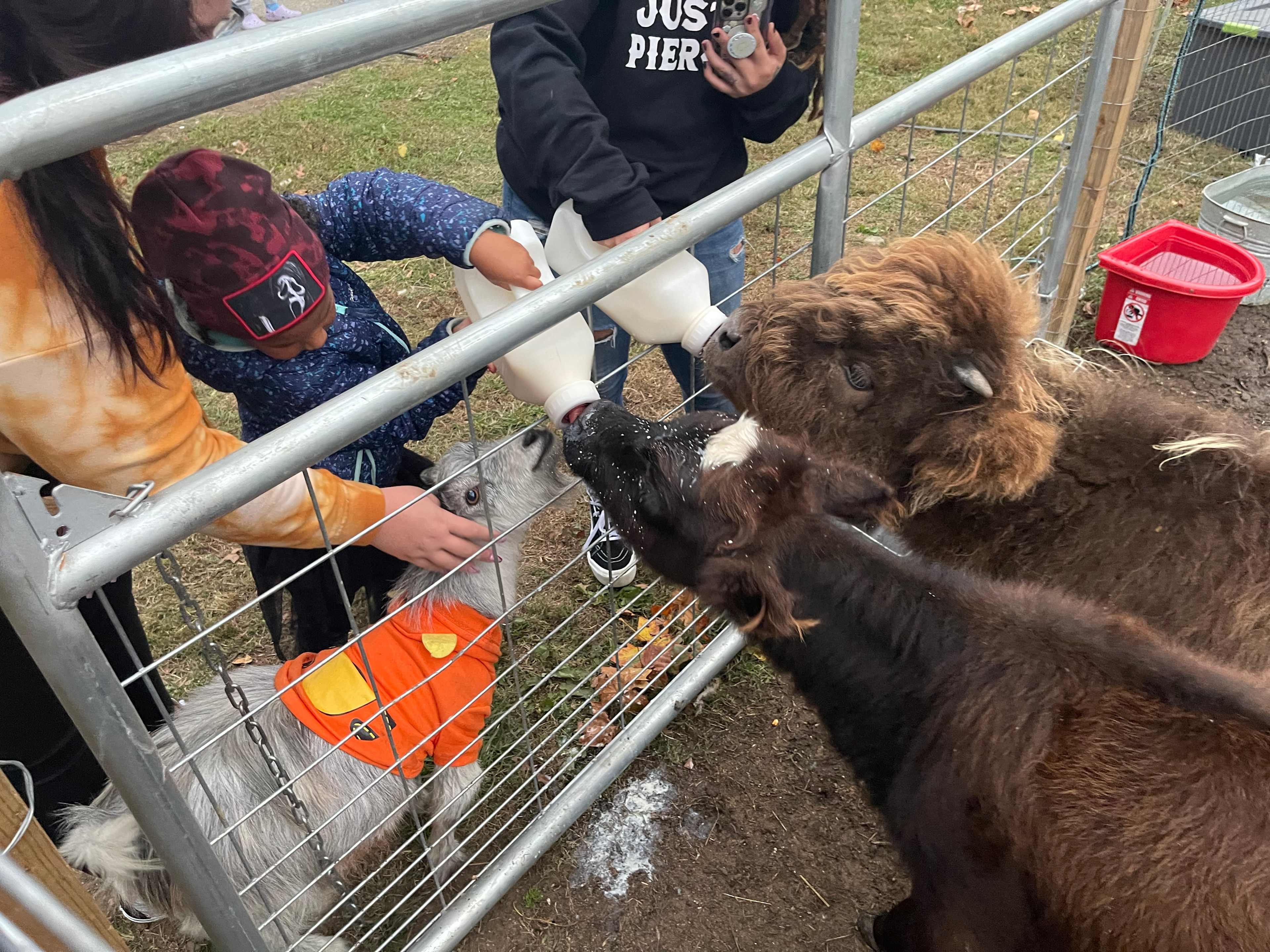 Charity’s Hope Family Farm Resort