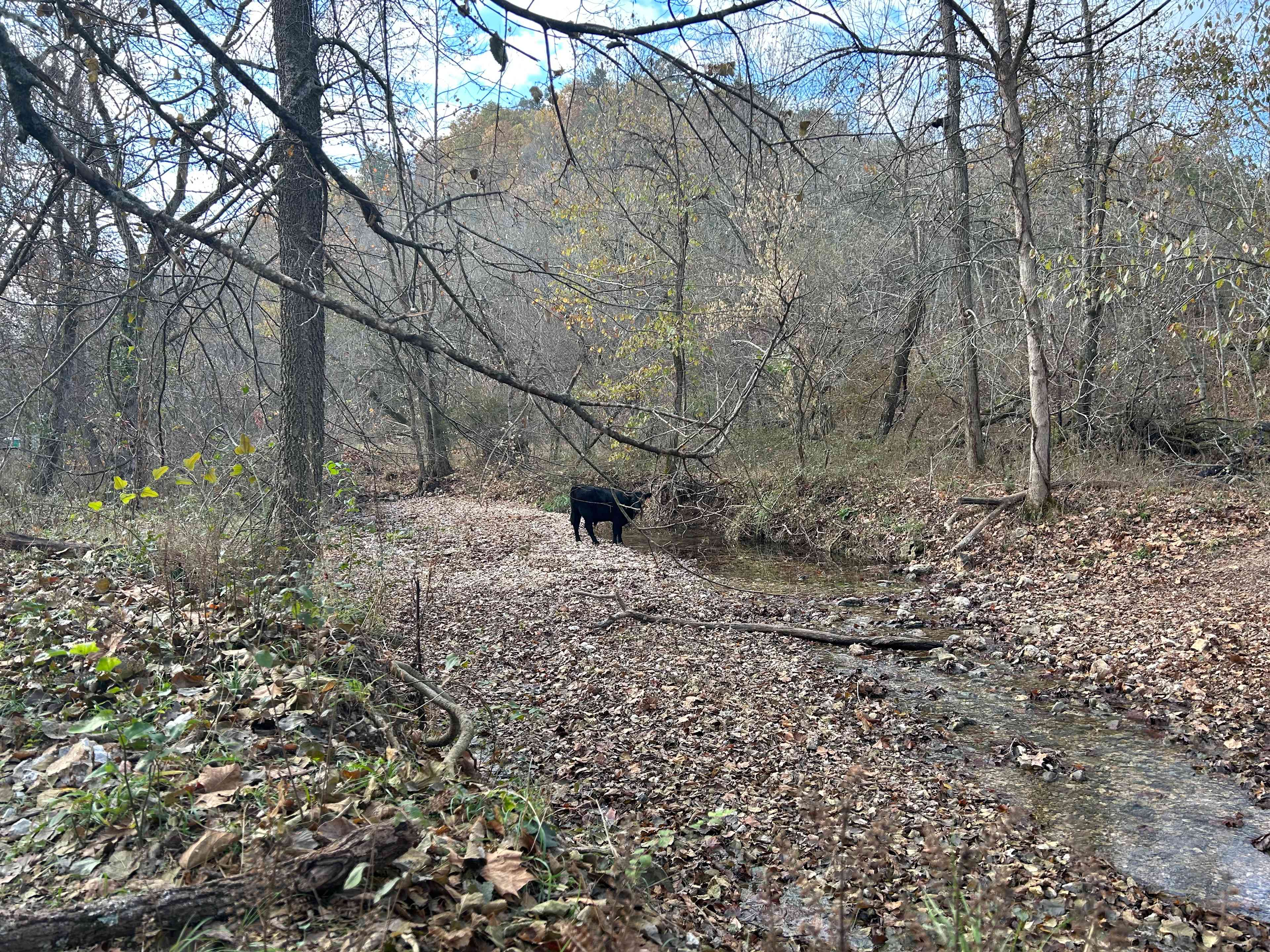 Creekside Camping at Rocky Acres