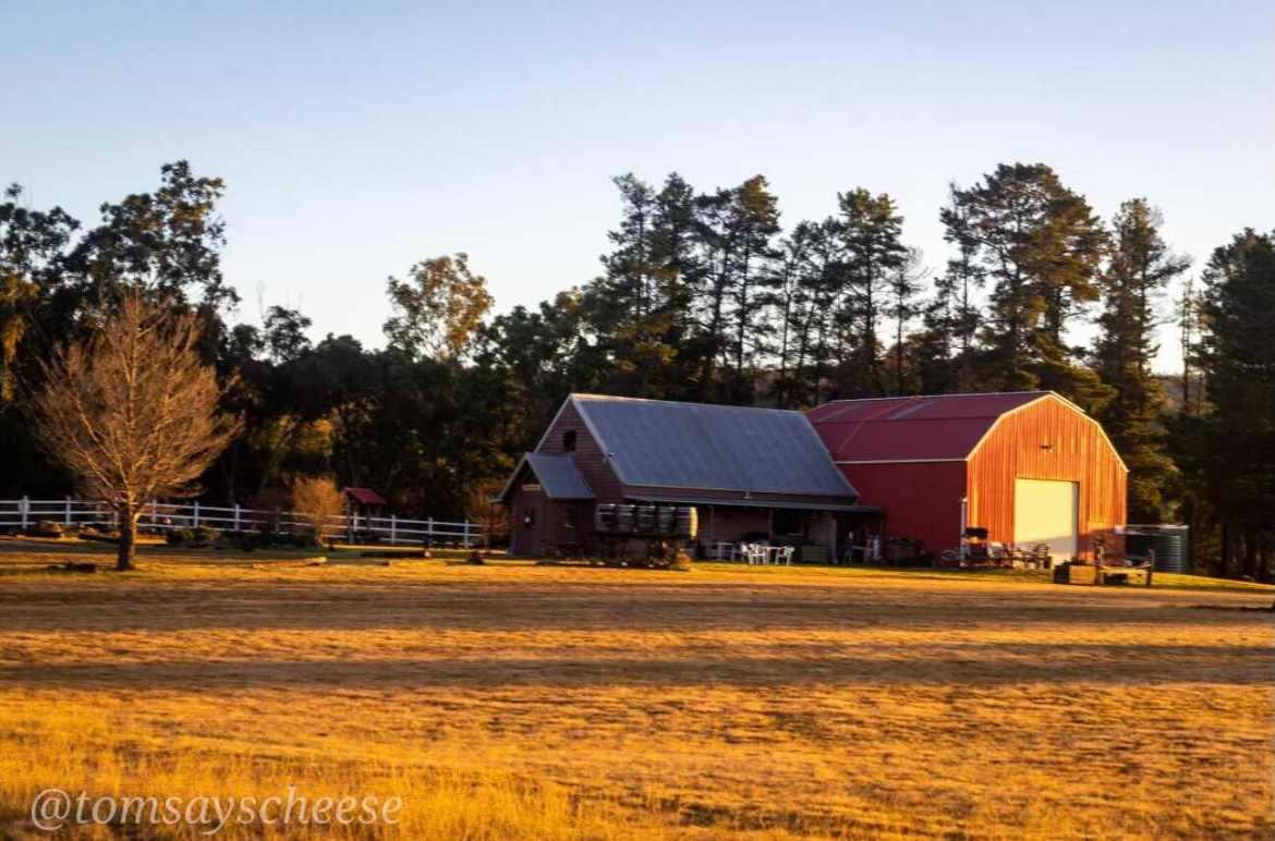 Mountview Wines Camping and Cabins