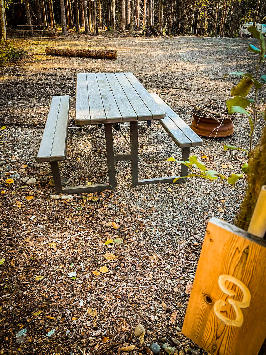 Picture of the site