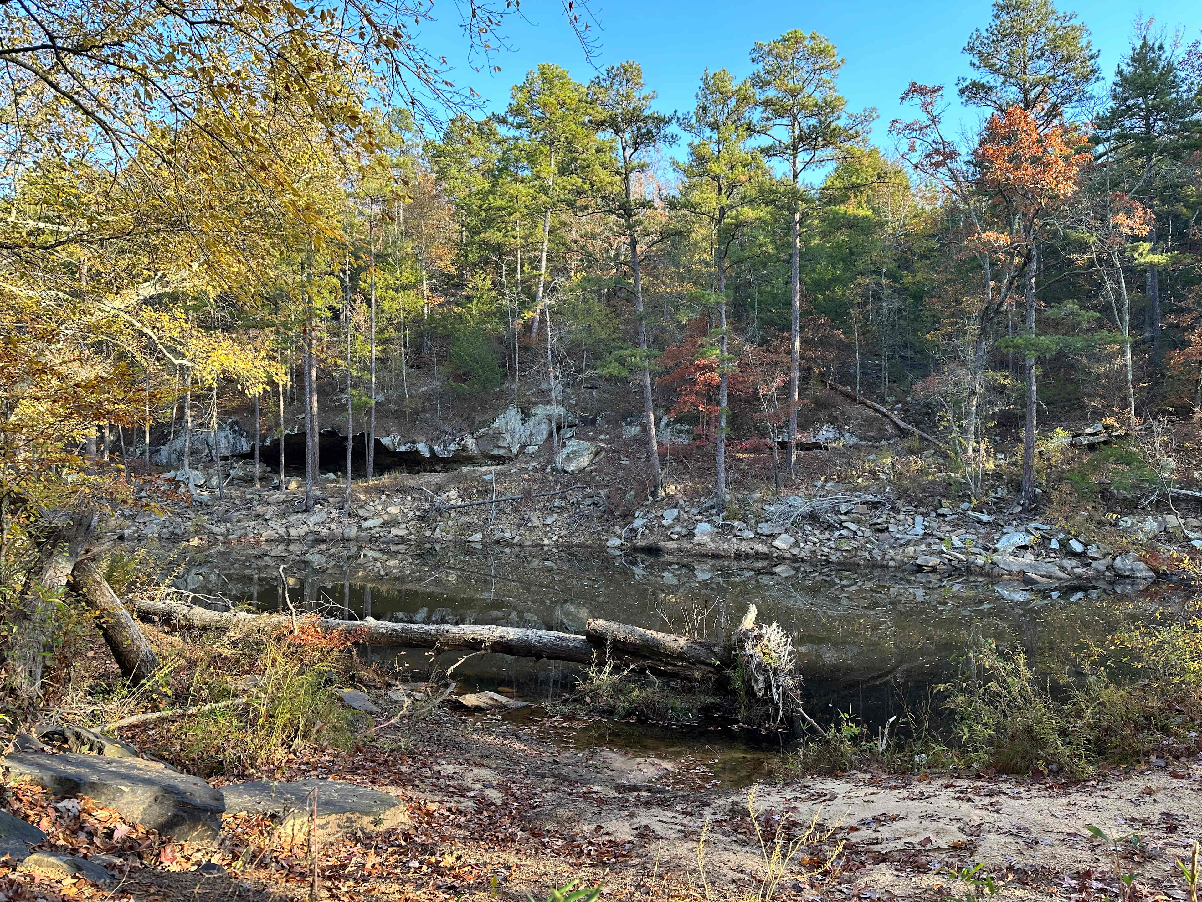 Picture of the site