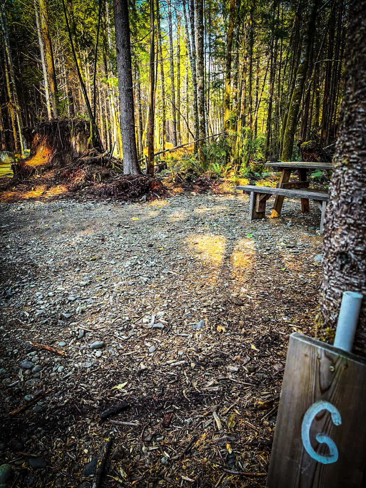 Picture of the site