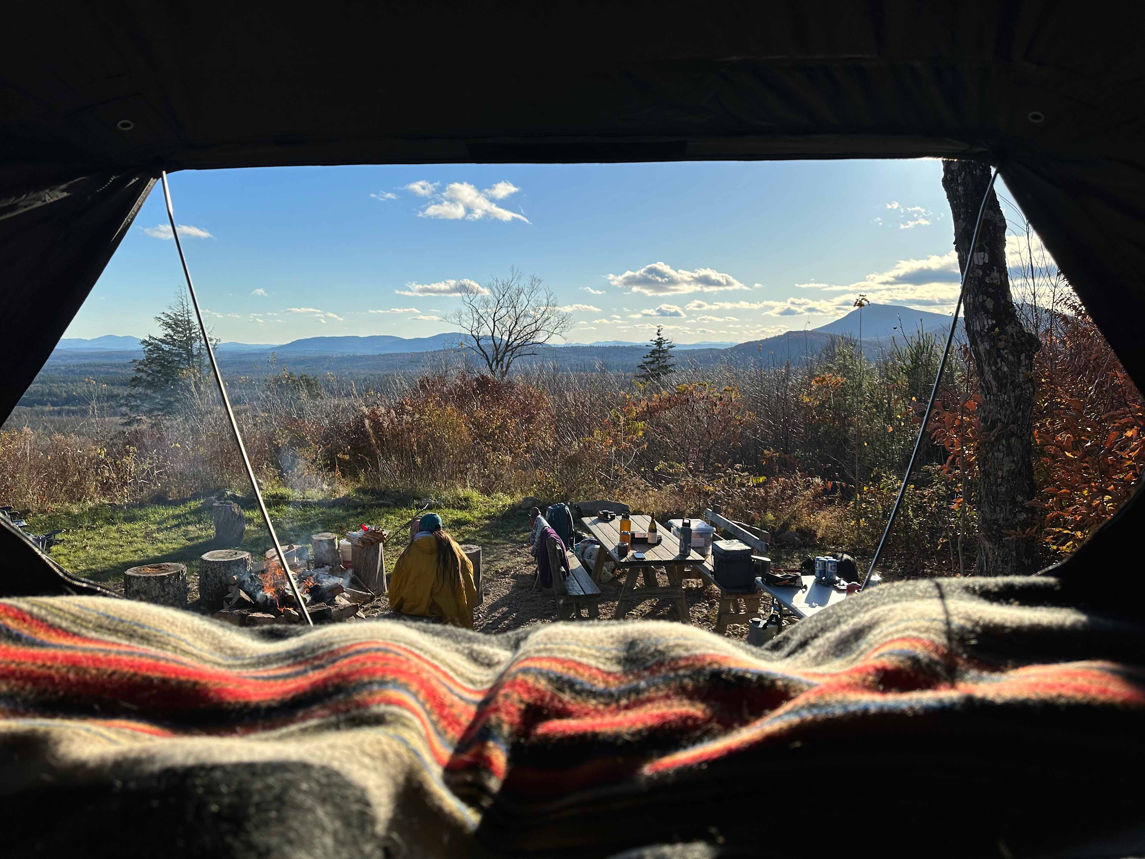 Picture of the site