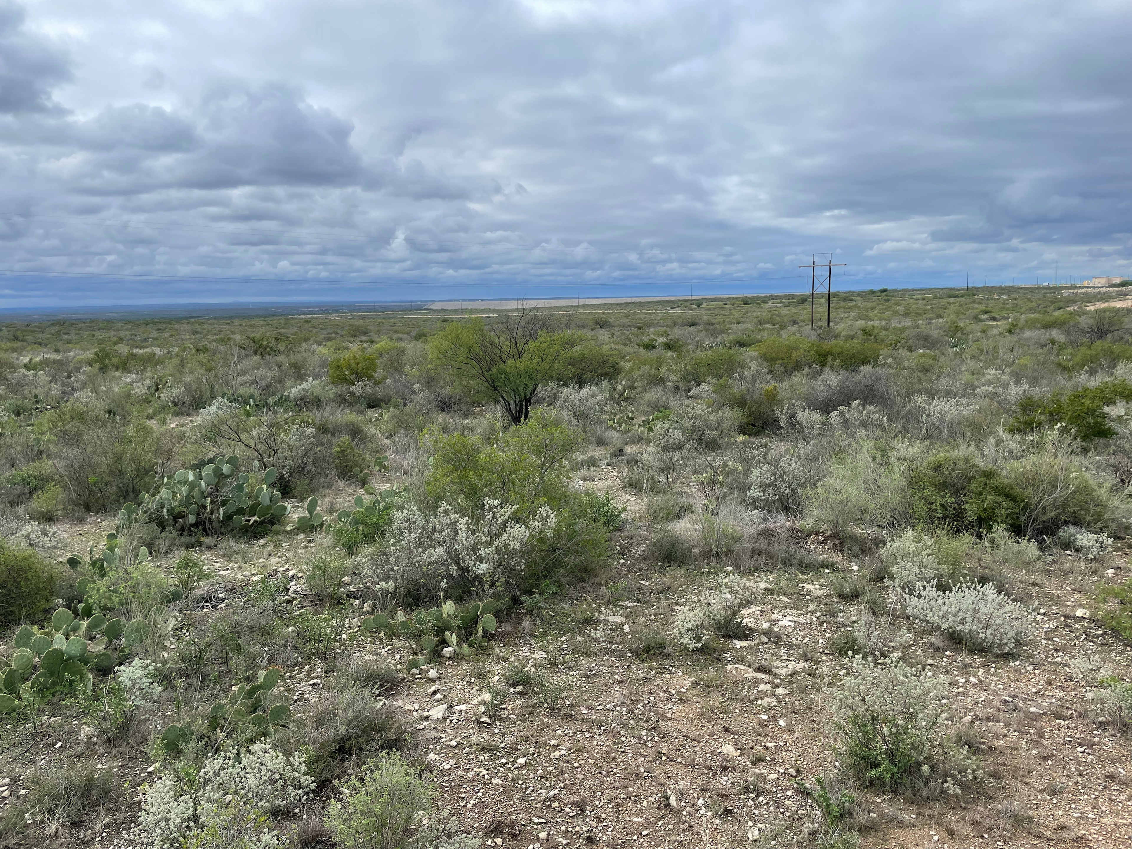 Deerview Ranch