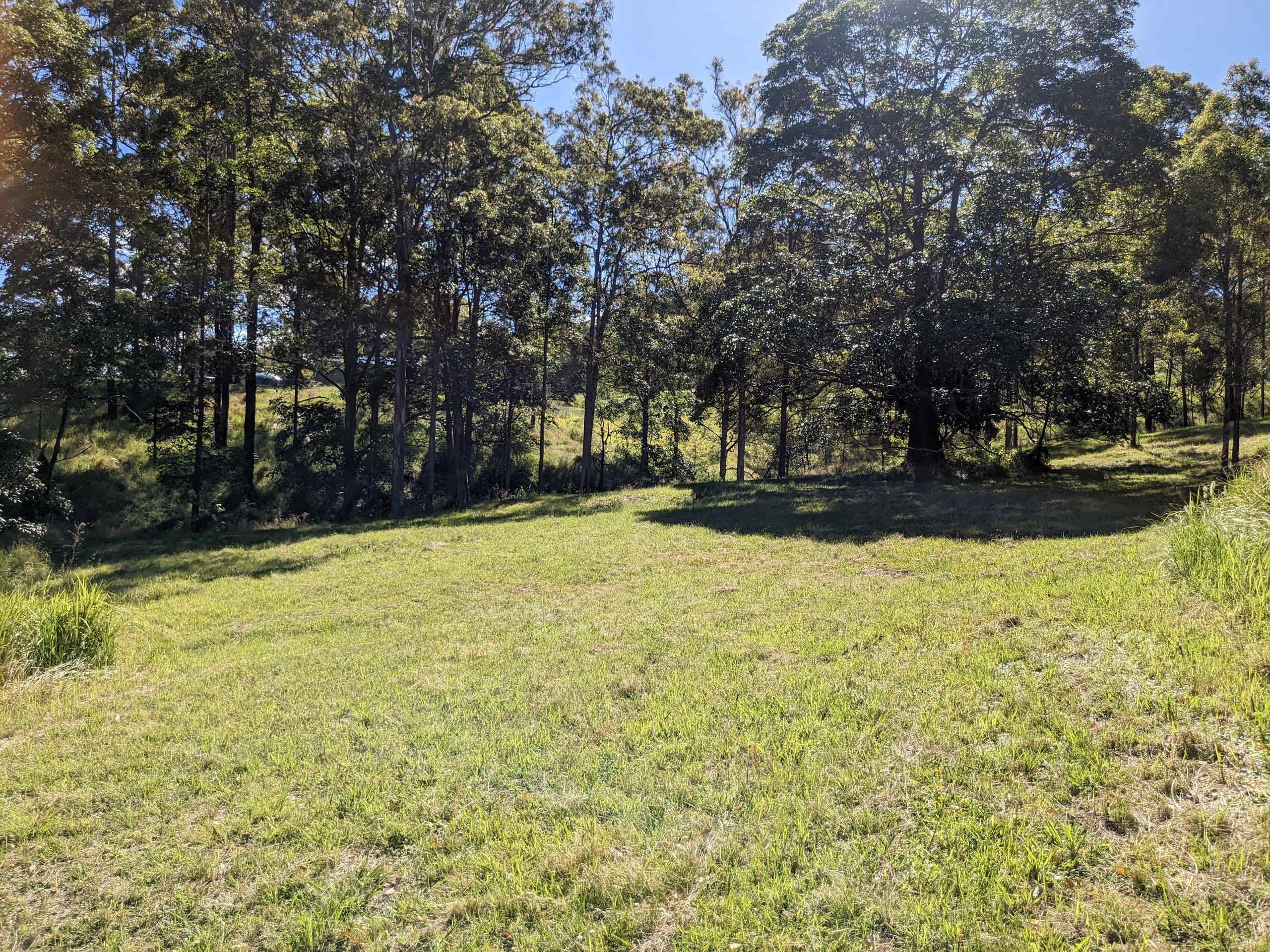 valley in the middle of the property