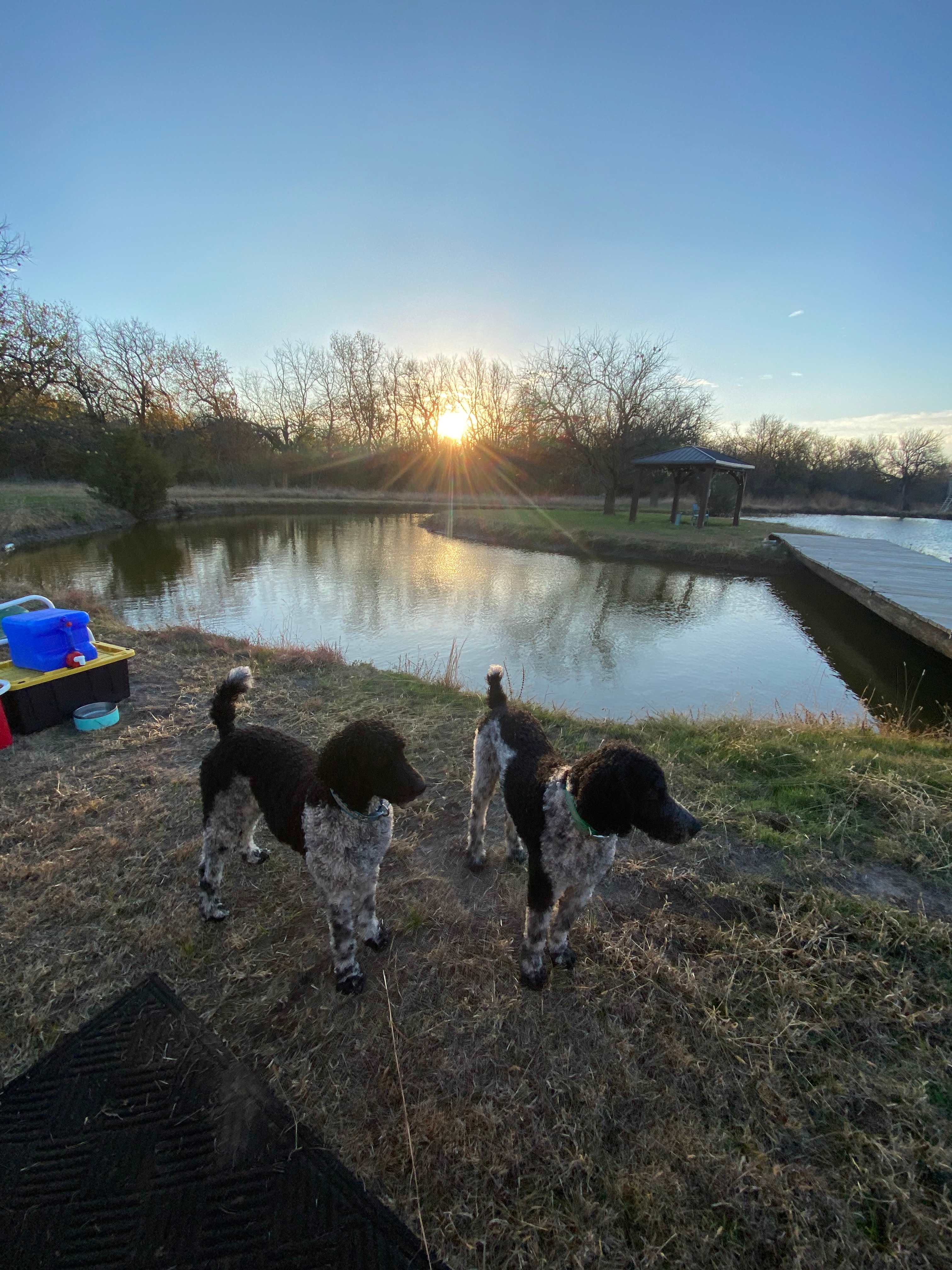 Buster’s Lakeside Retreat