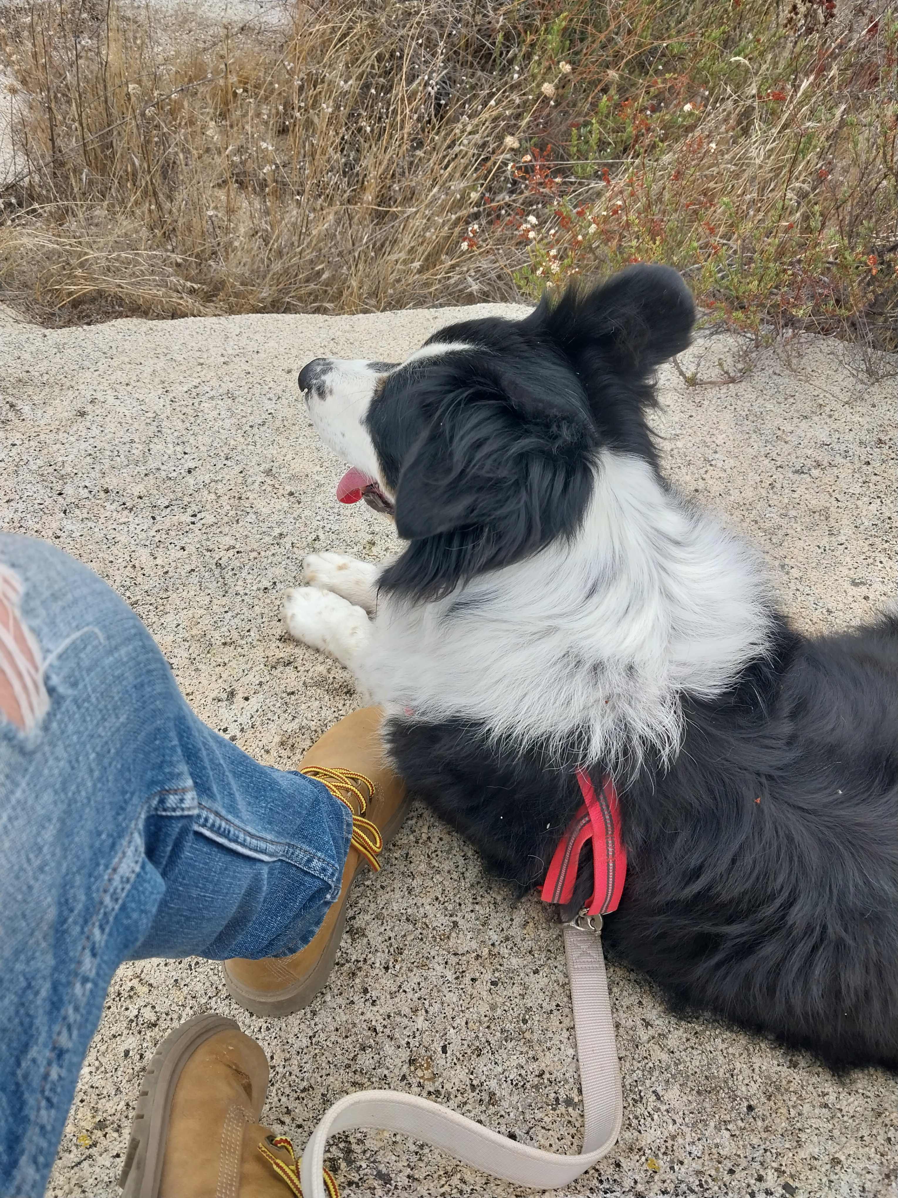 On a hike