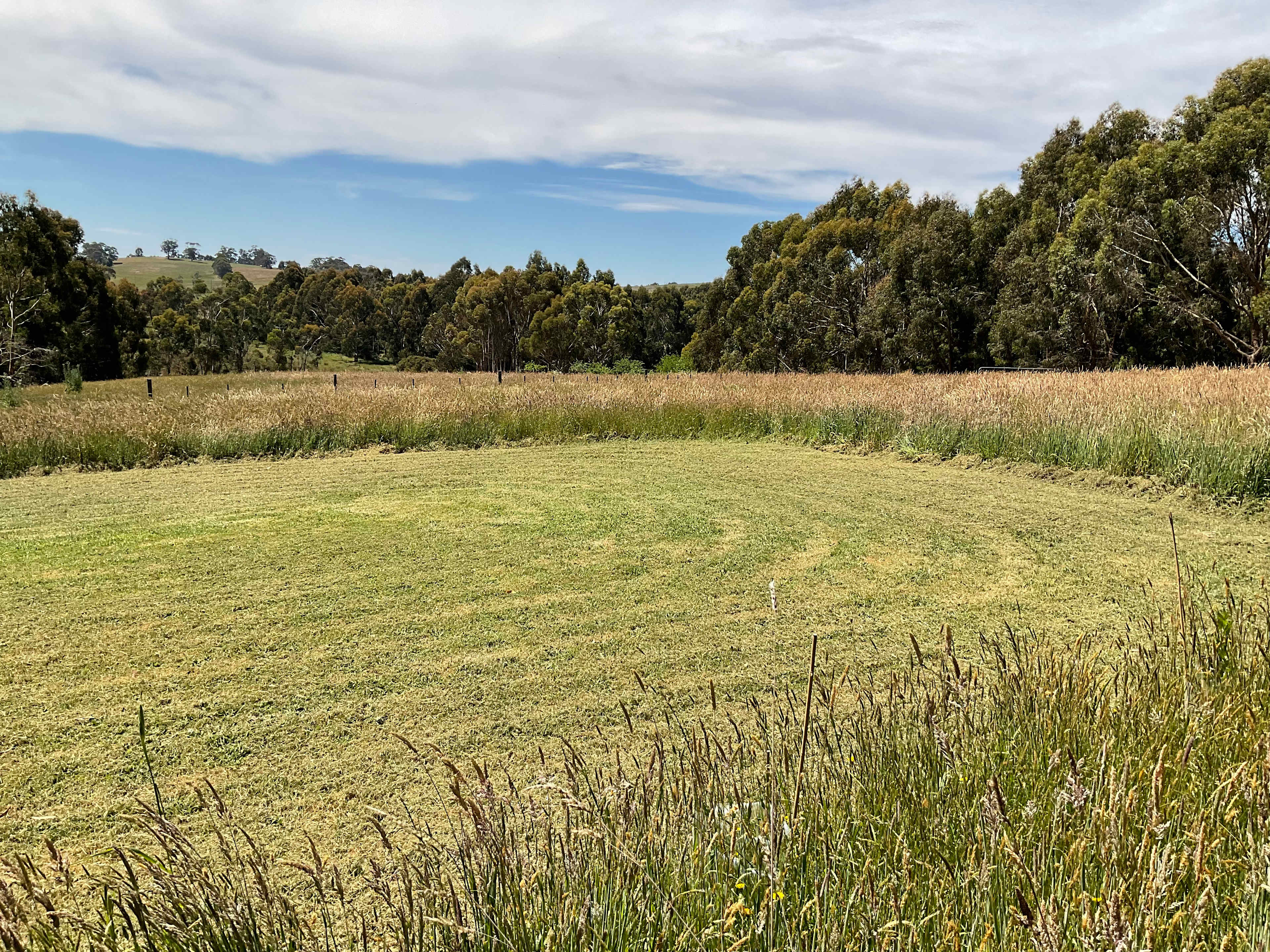 The Goat Paddock