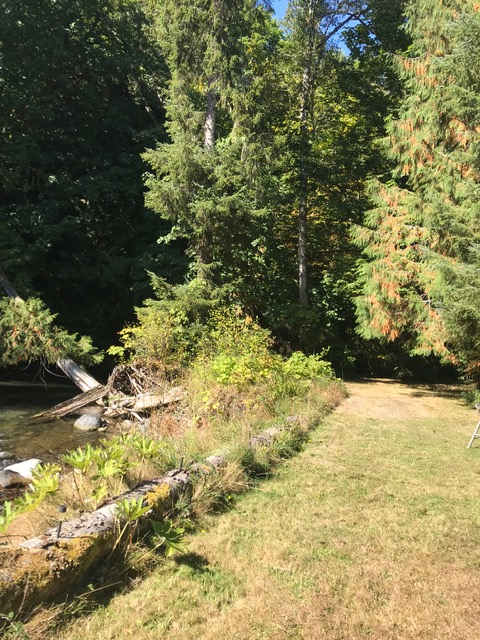 River's edge behind sites 1 and 2