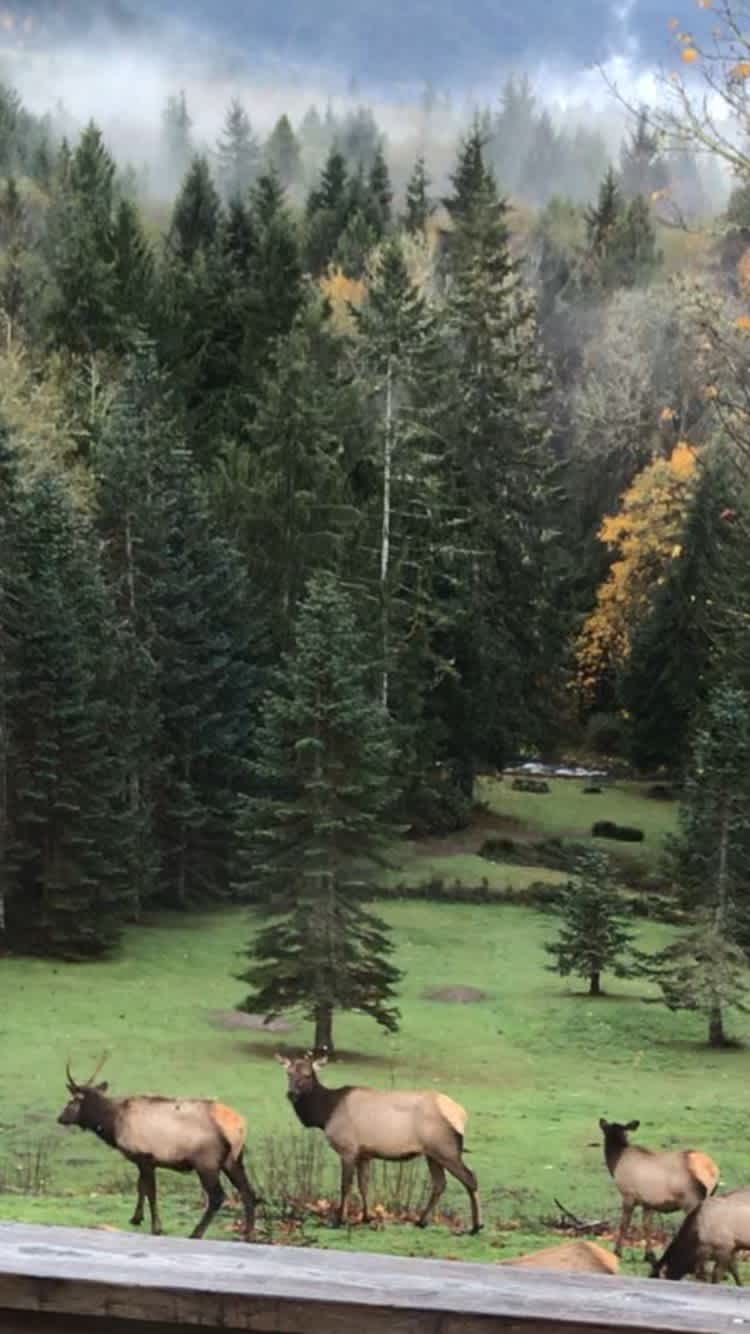 View from Host's deck