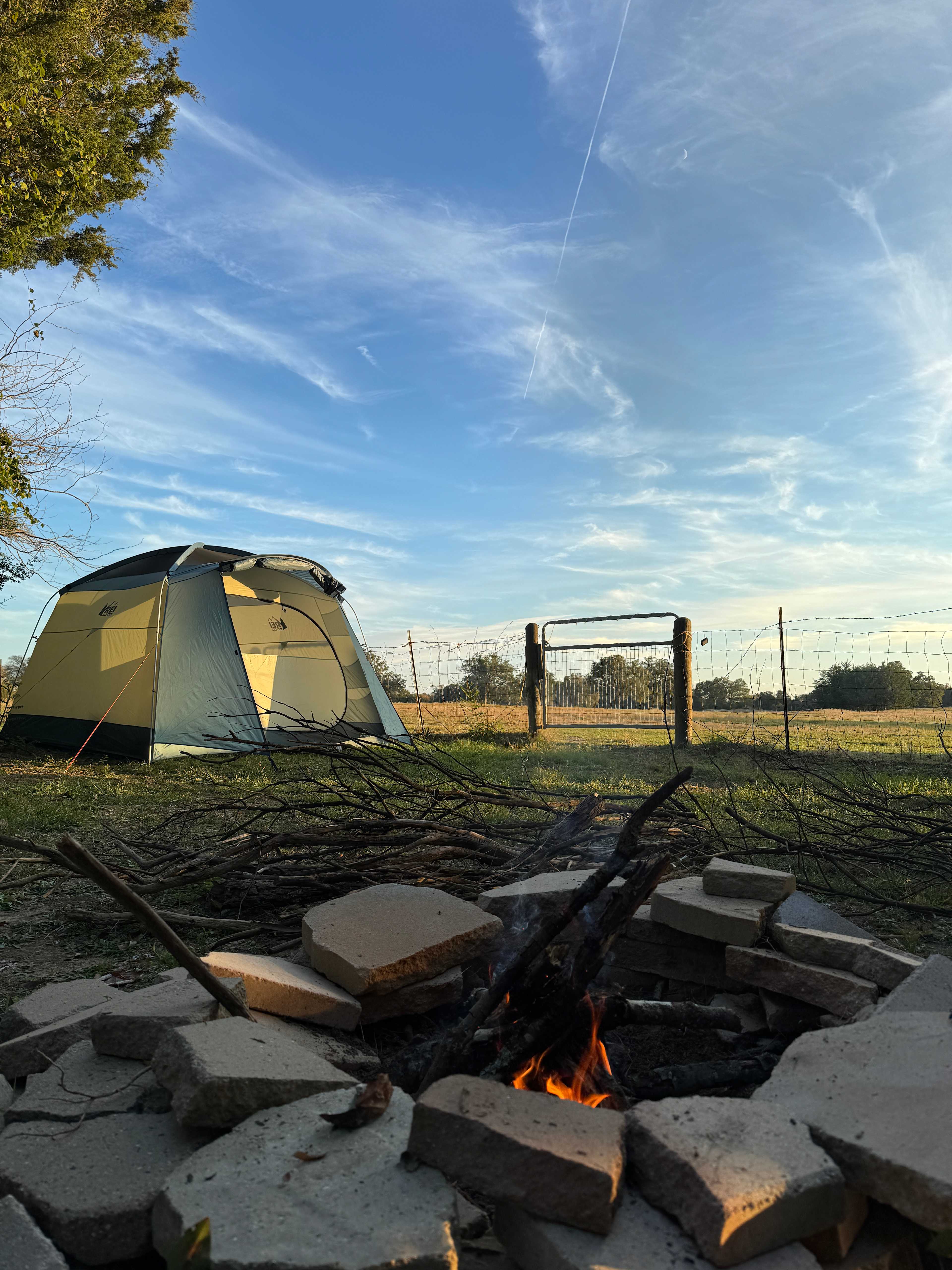 Picture of the site