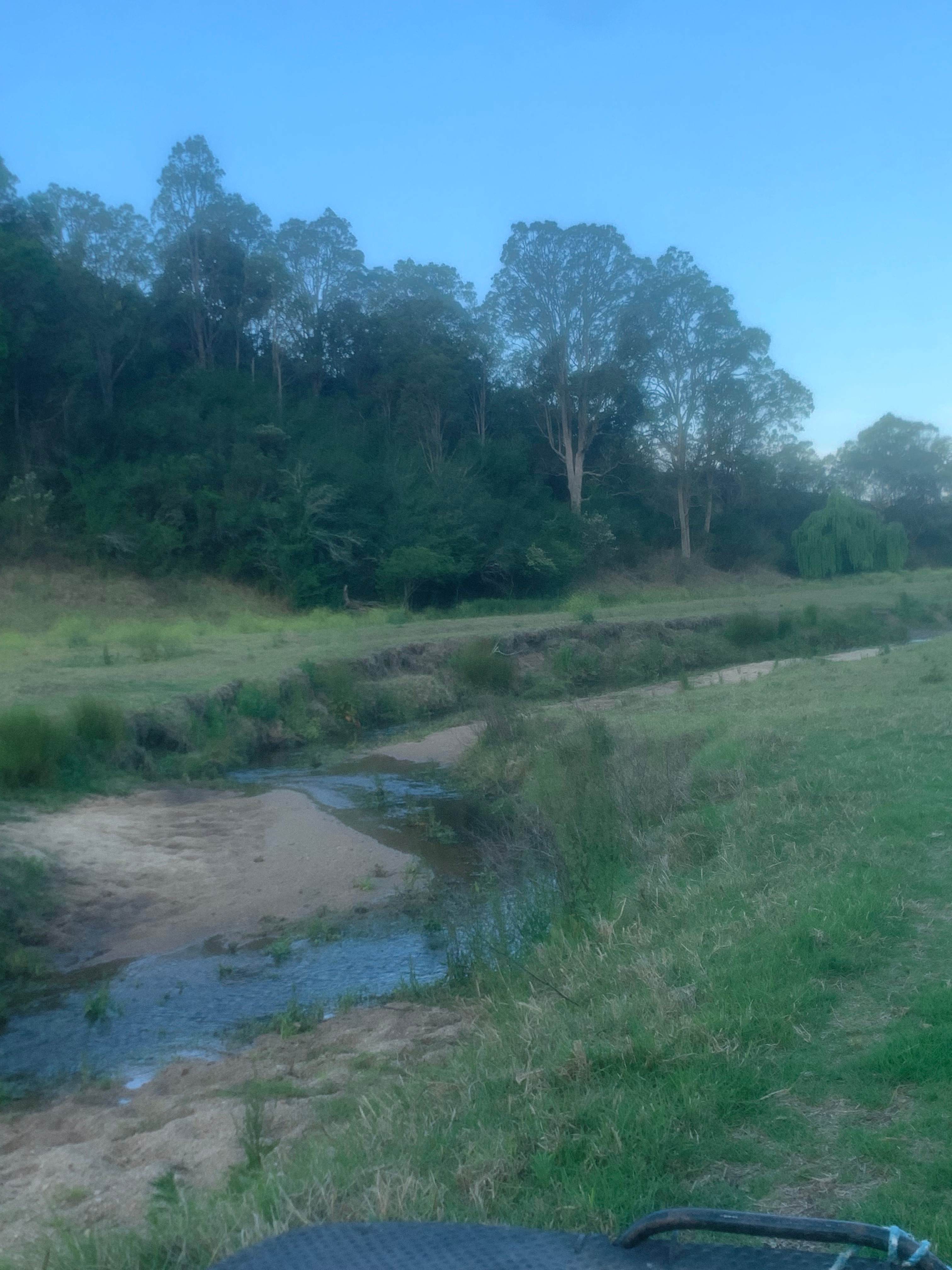 Part of our property