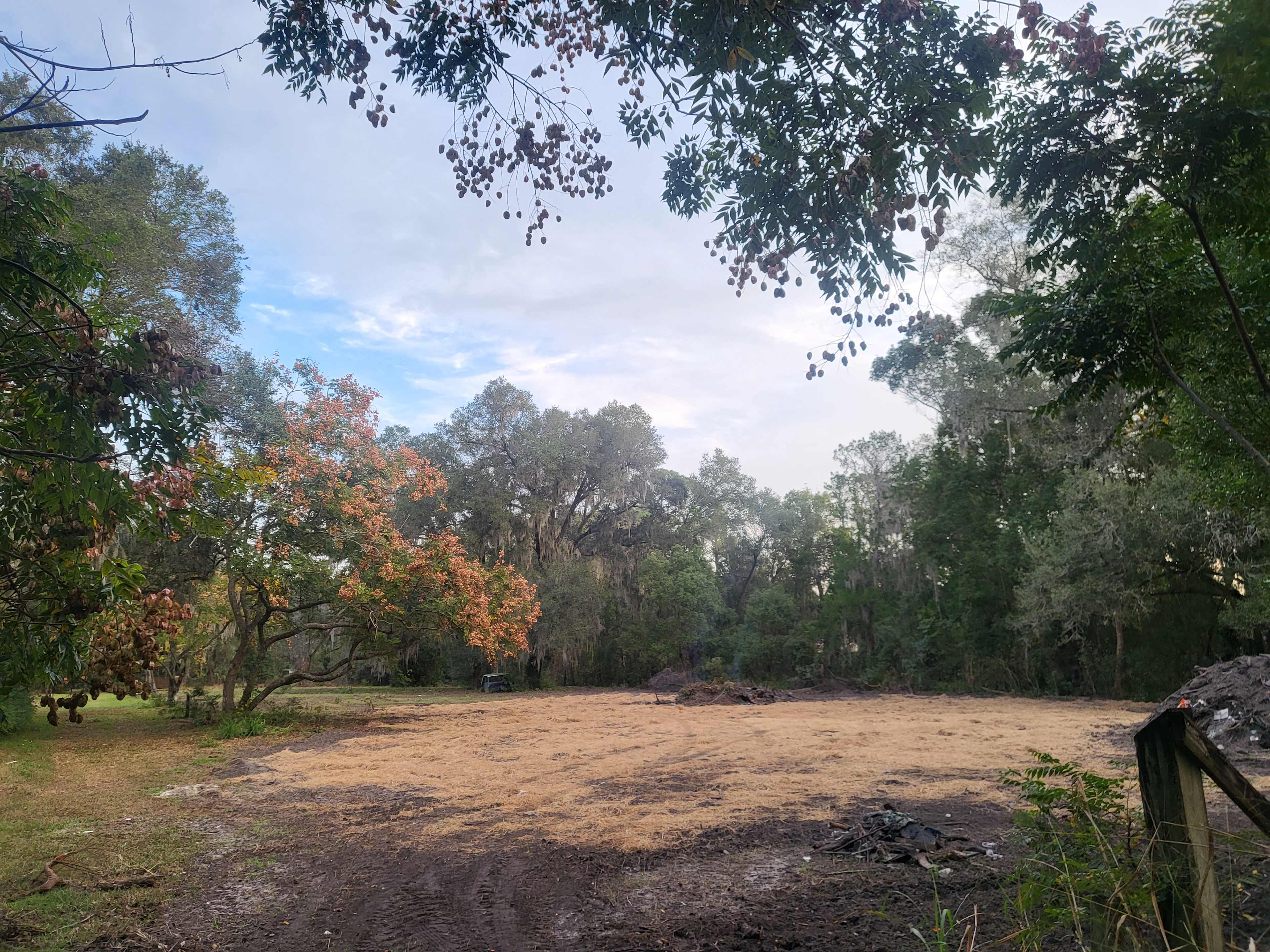 The Ranch