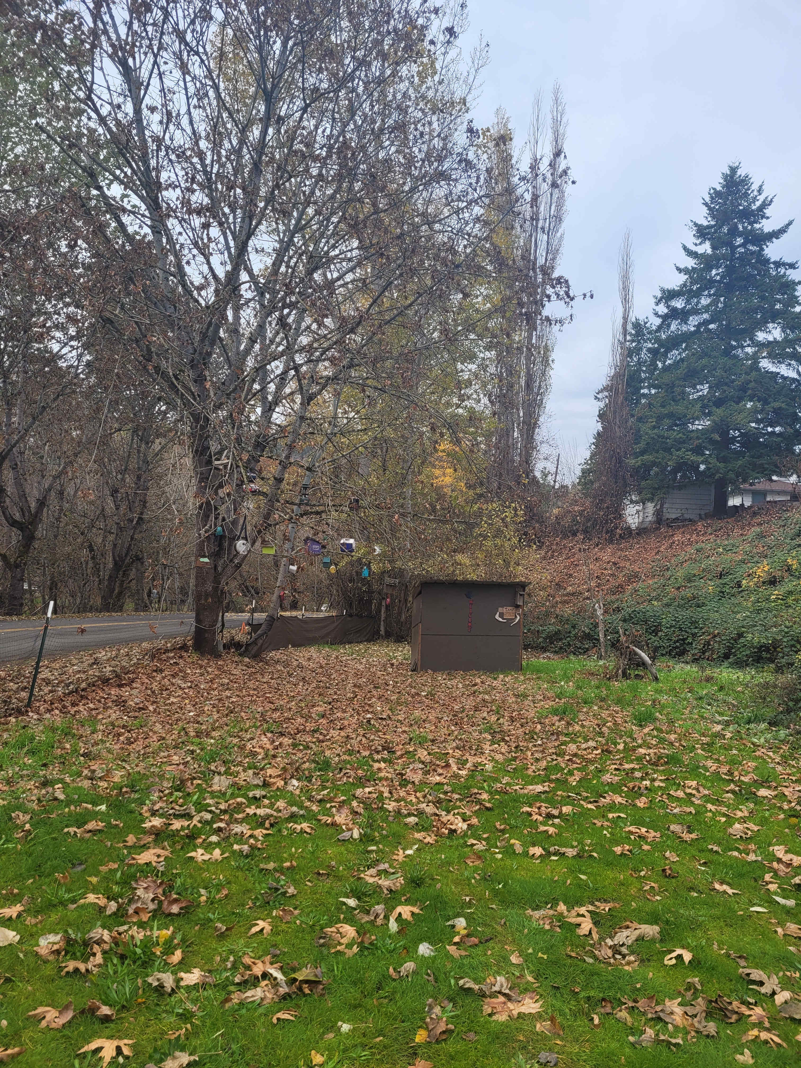 Mosier creek csmp