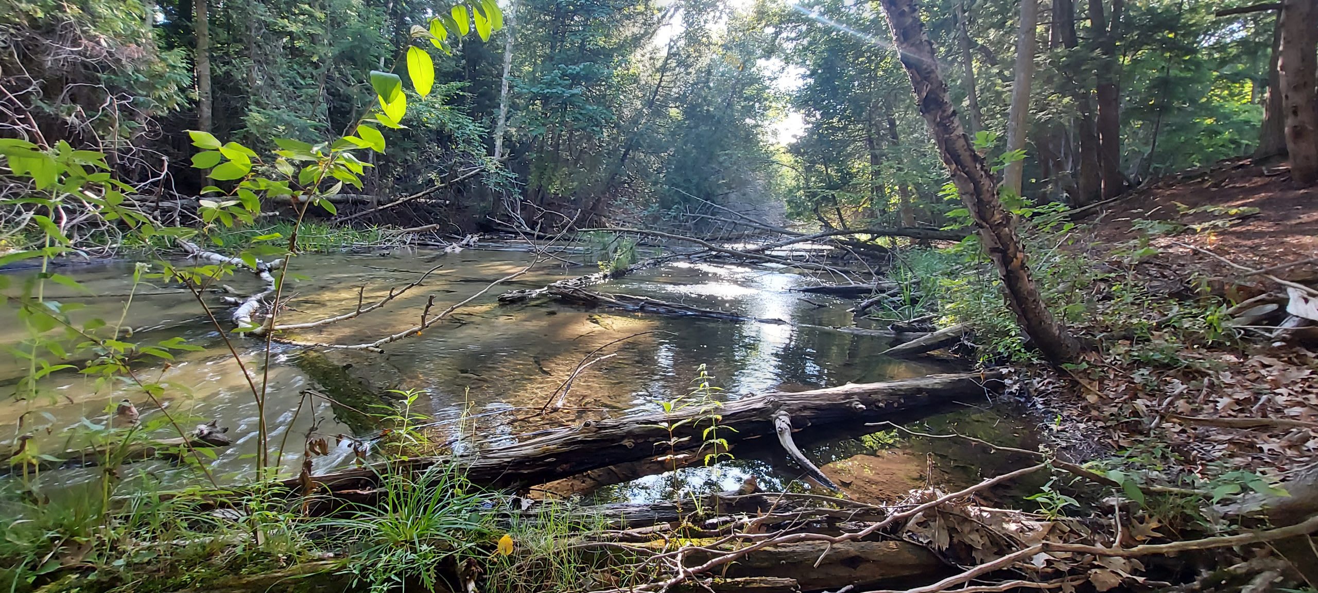 Michigan Creek Inlets Up a Creek in Maple City Campsite - Hipcamp in Maple City, Michigan